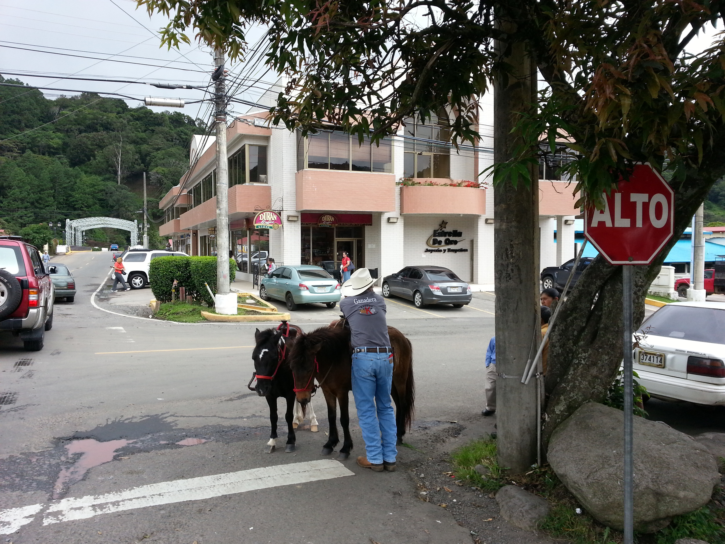 ...and horses