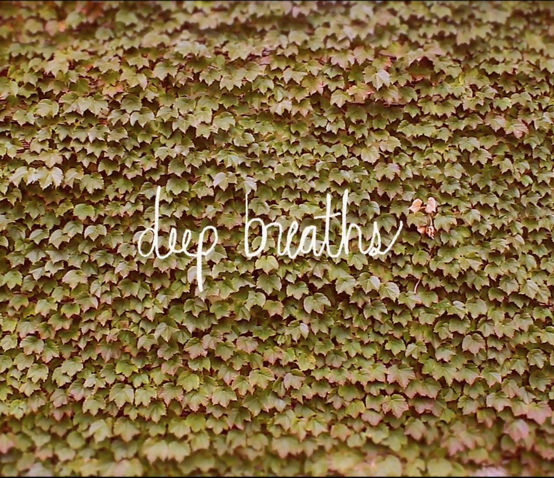 Screen Shot 2021-05-15 at 10.27.13 AM.png