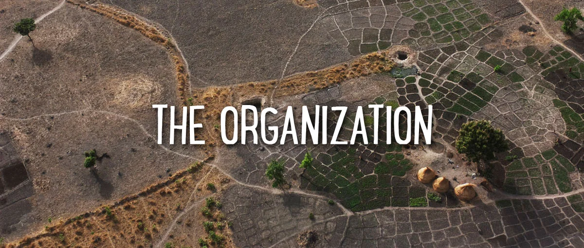 The-Organization-Banner-F.jpg