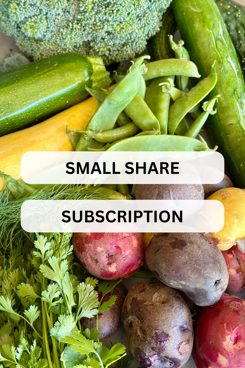 small share subscription.png