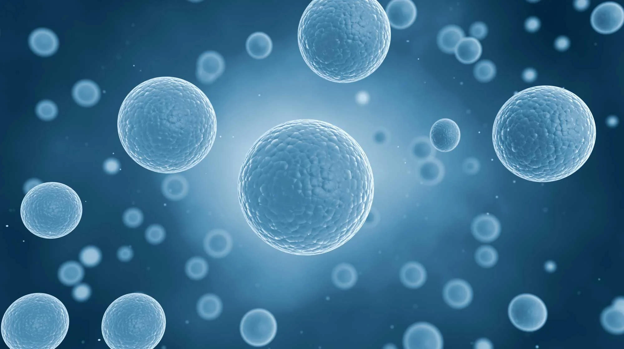 stem-cell-101.jpg