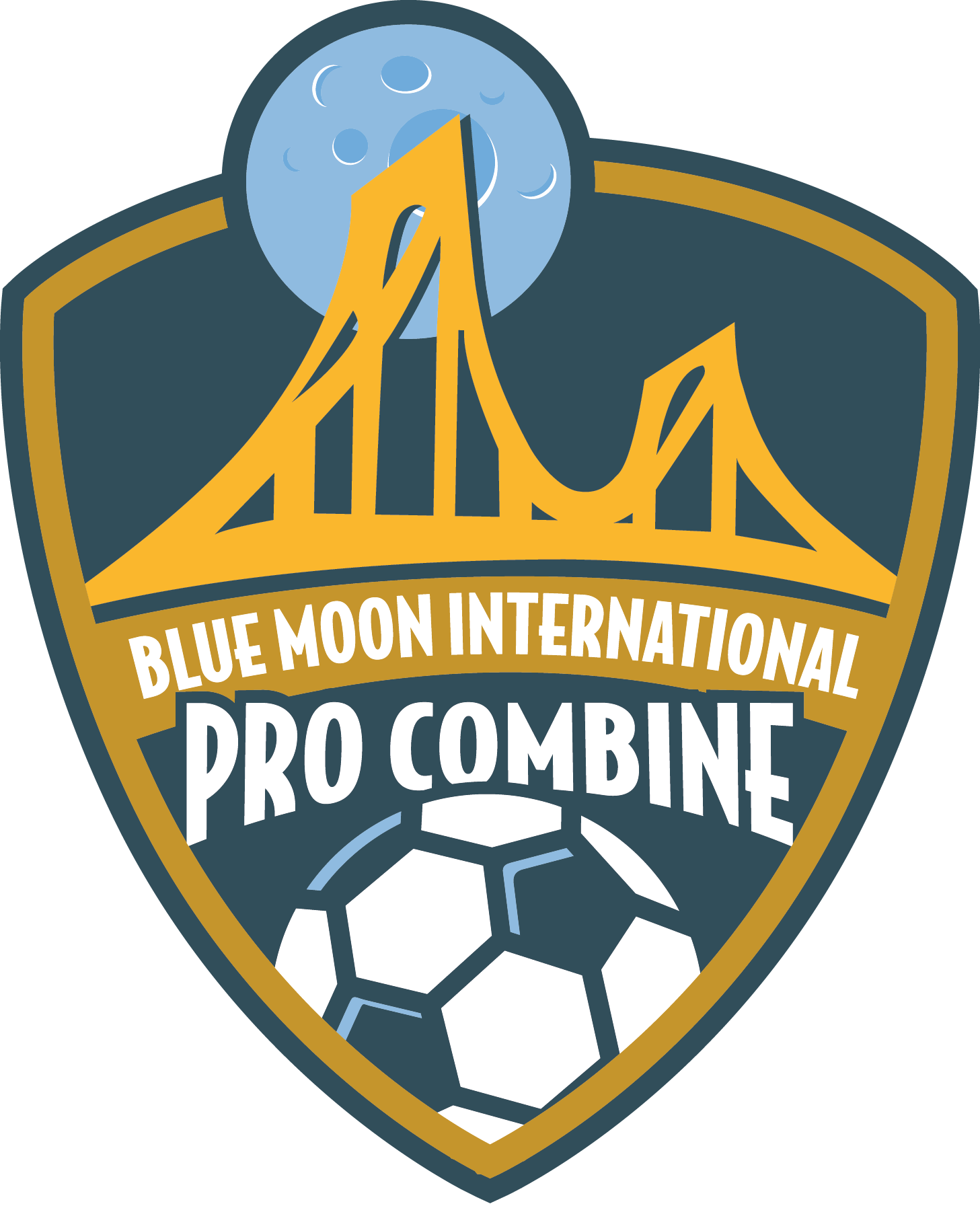 blue moon ID CAMP LOGO-01.png