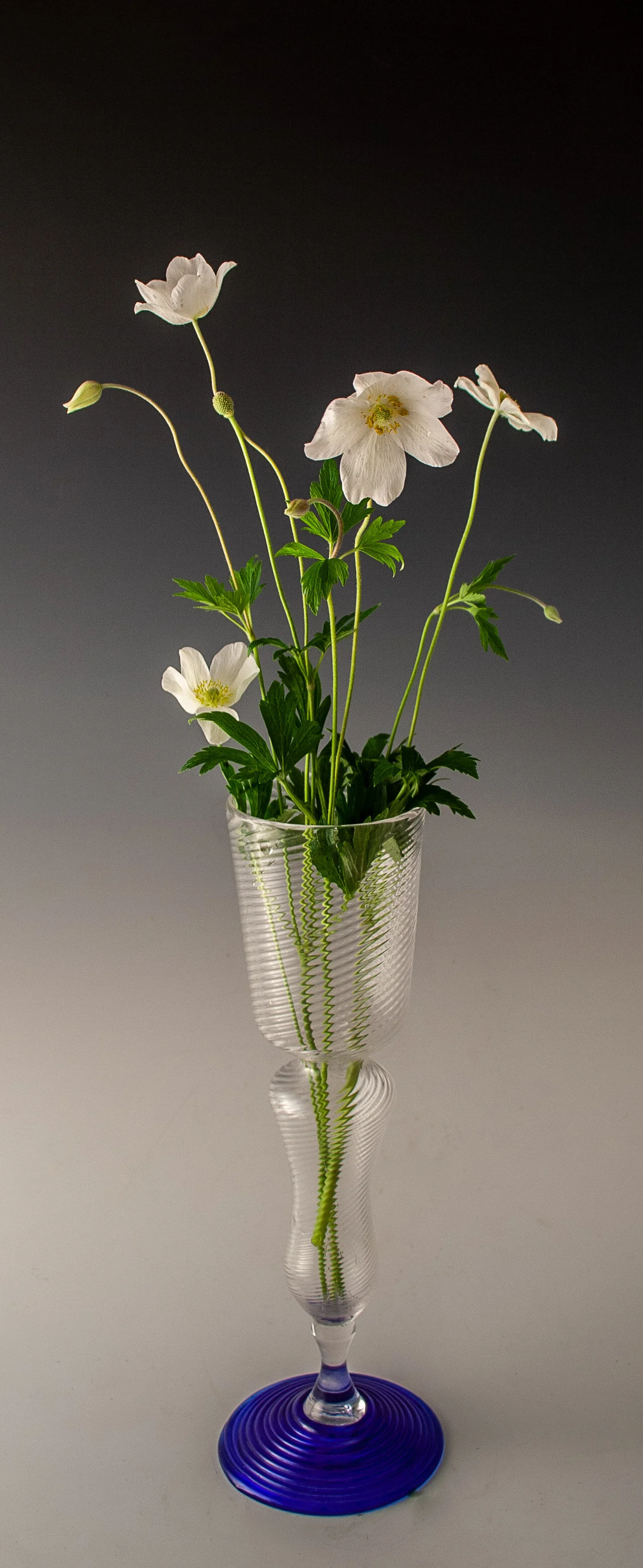 web.with flowers-40.jpg