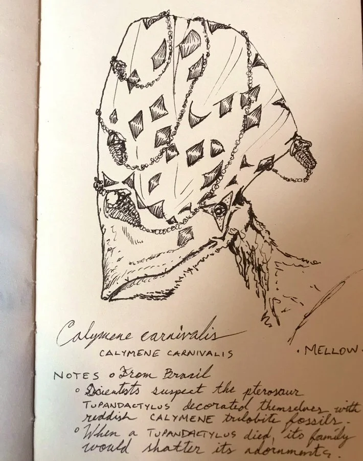 Paleontologists suspect the Brazilian pterosaur Tupandactylus adorned their colourful crests with clay-red trilobites, and refer to these as “Calymene carnivalis”.