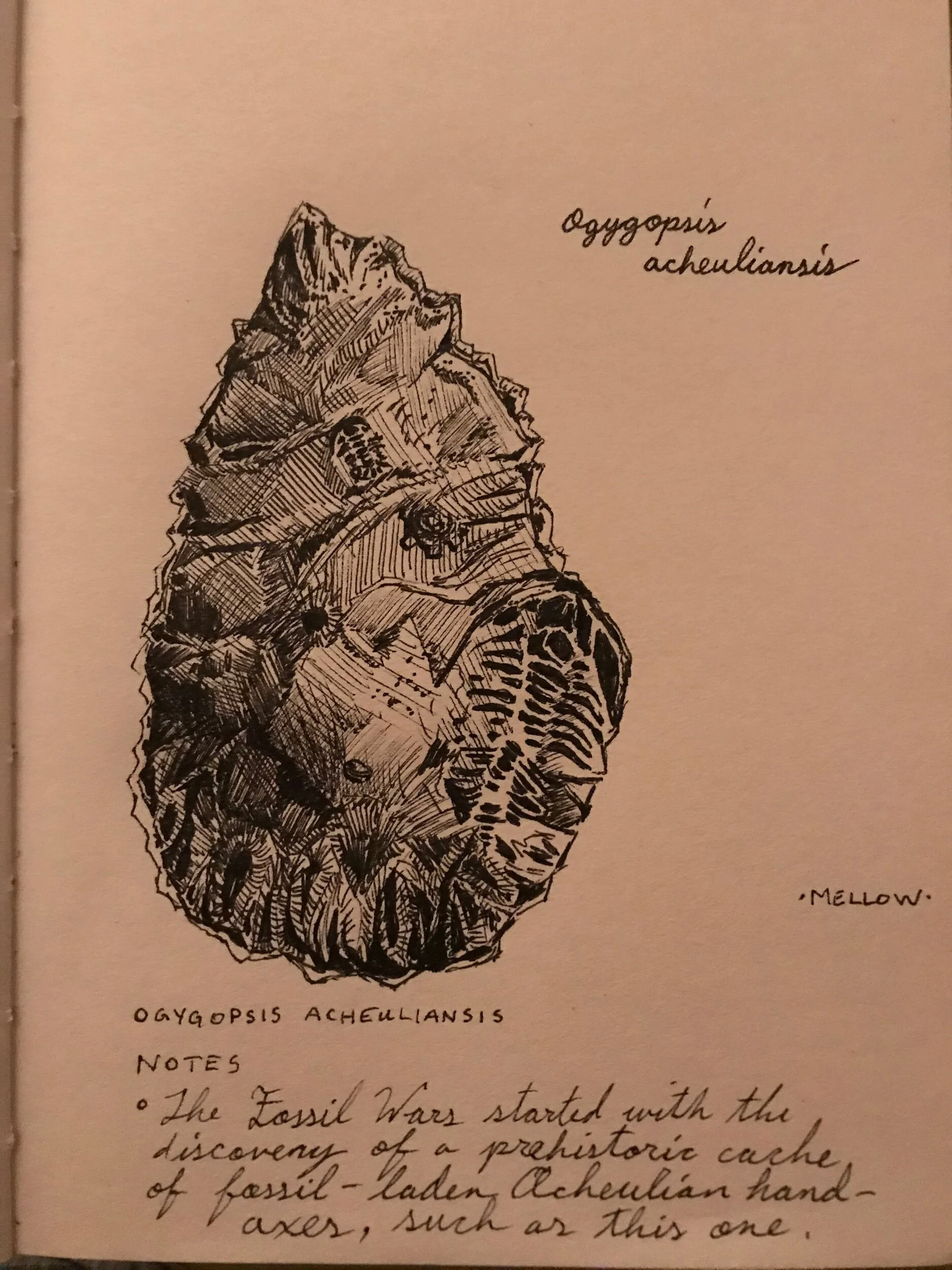 “While the exact nature of the ritual that led *homo ergaster* to hurl their Acheulian hand-axes into piles is unknown, the discovery of a unique cache of these finely-crafted tools, laden with trilobite fossils, led to the start of the Fossil Wars.” —from A Field Guide to Flying Trilobites
