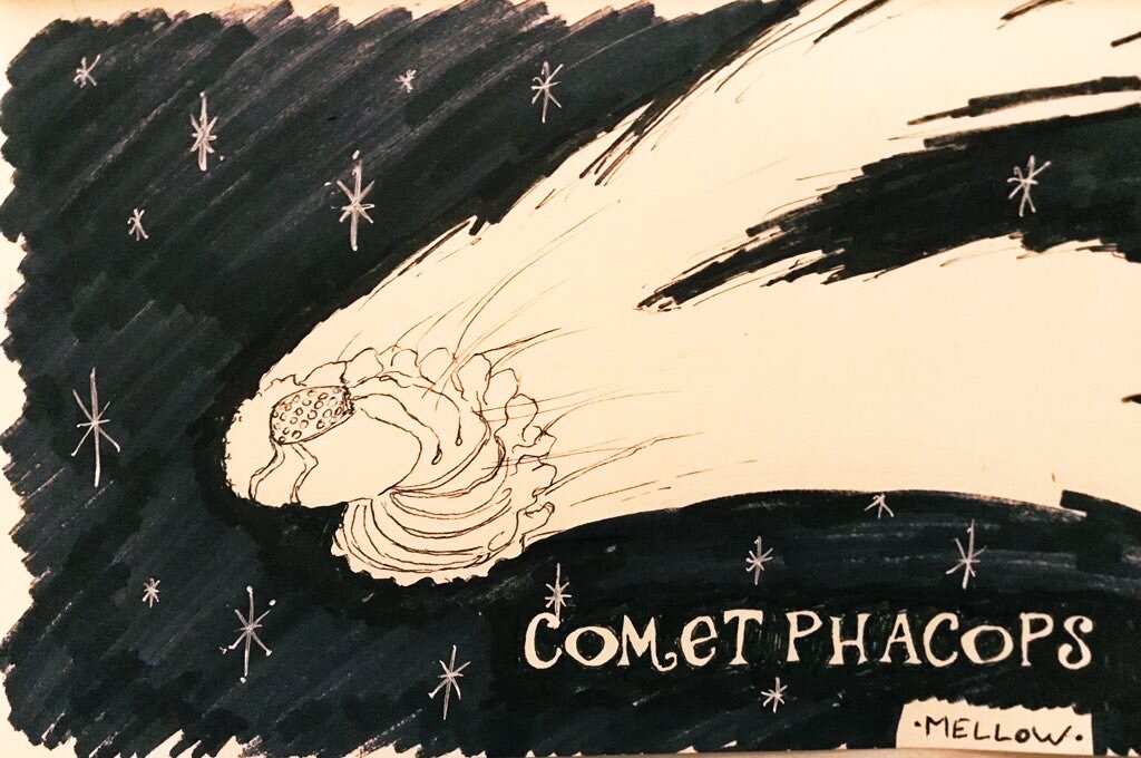 “With missions to the enigmatic Comet Phacops so far unsuccessful, astropaleontologists are still unclear if the “comet” represents debris blown into space during the Cambrian, a sculpture by a rogue environmental-artist, or an alarming advance by modern genetic hobbyists.” —from A Field Guide to Flying Trilobites