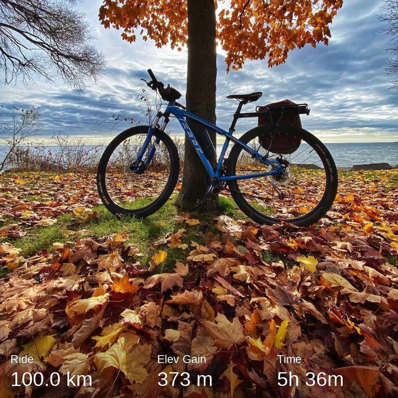 November Gran Fondo ride done (100 km)! Saw a young buck on the Waterfront Trail. It&rsquo;s t-shirt and shorts weather here. 

Forgot to take my monthly asthma meds until 80km into the ride. Whoops. 

I missed a couple of monthly Gran Fondo challeng