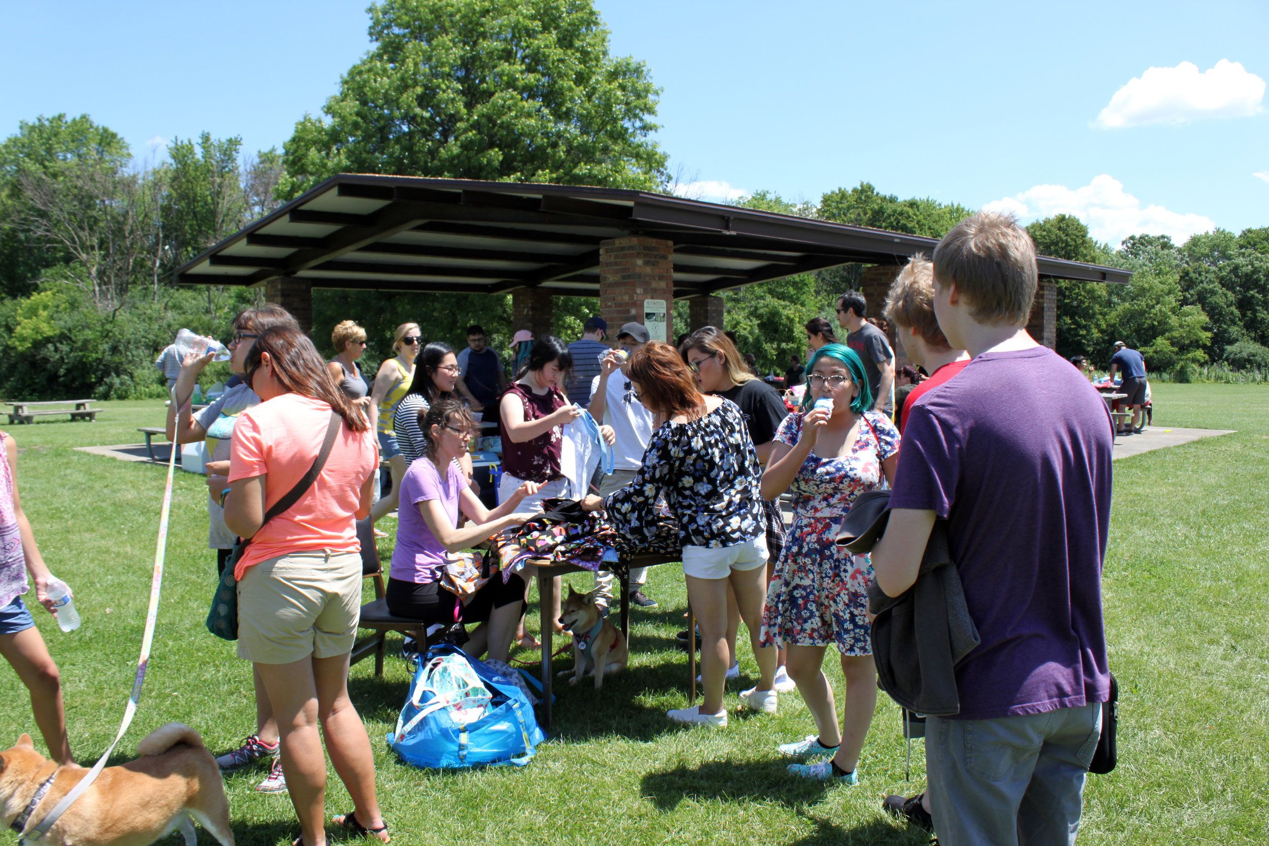 33 MSIR 2017 Picnic.jpg