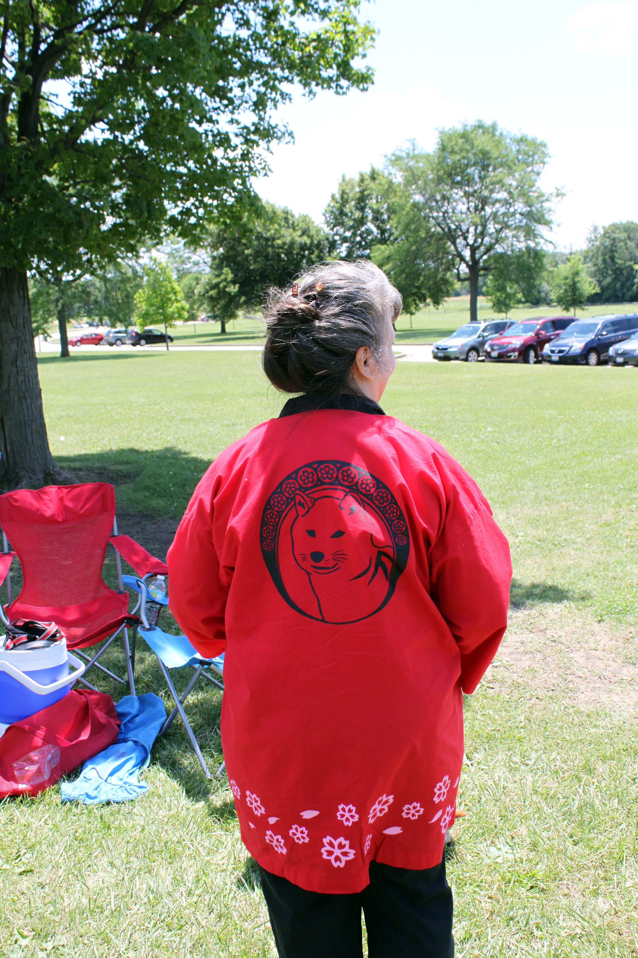 38 MSIR 2017 Picnic.jpg