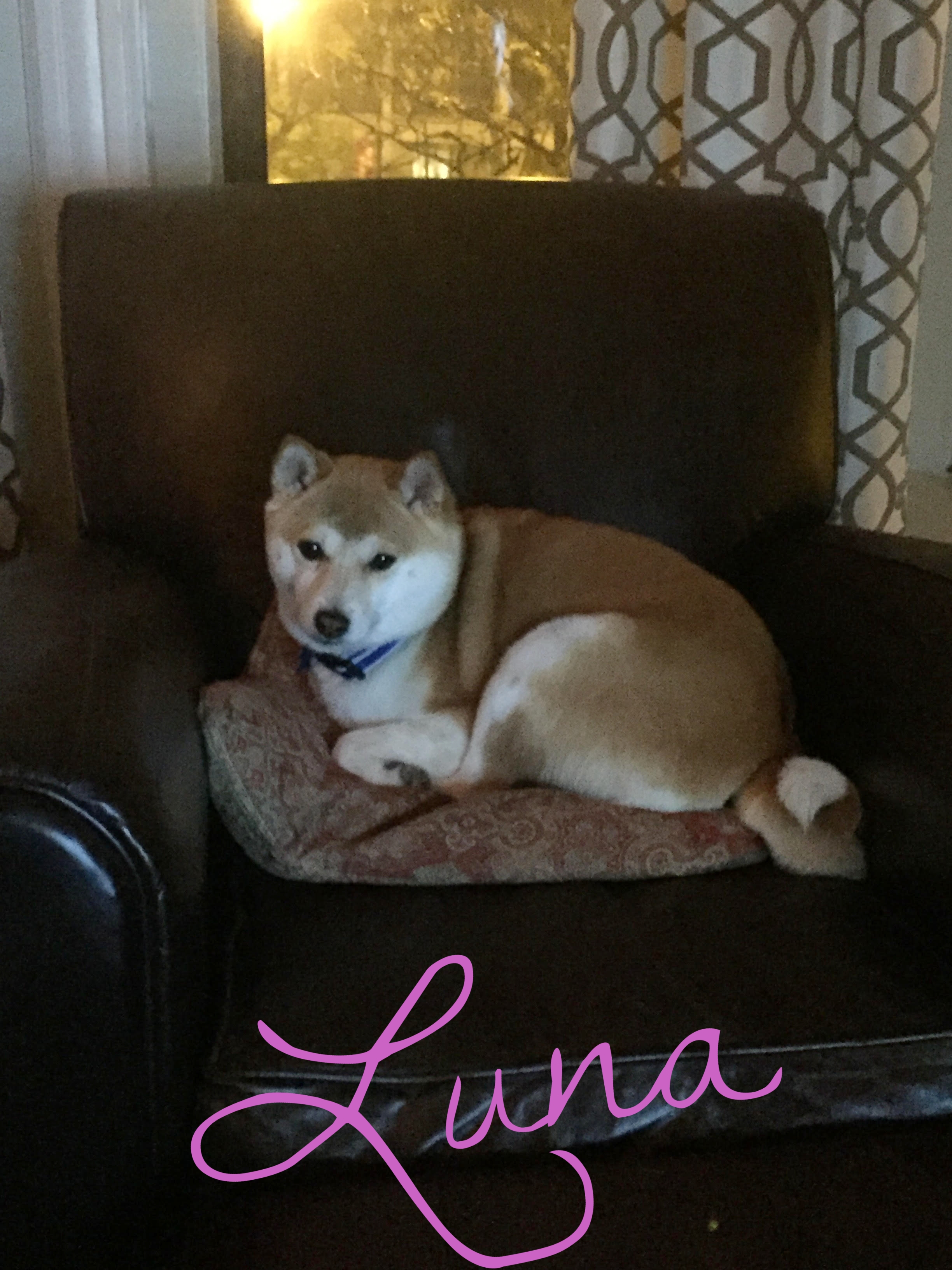 Luna4.jpg