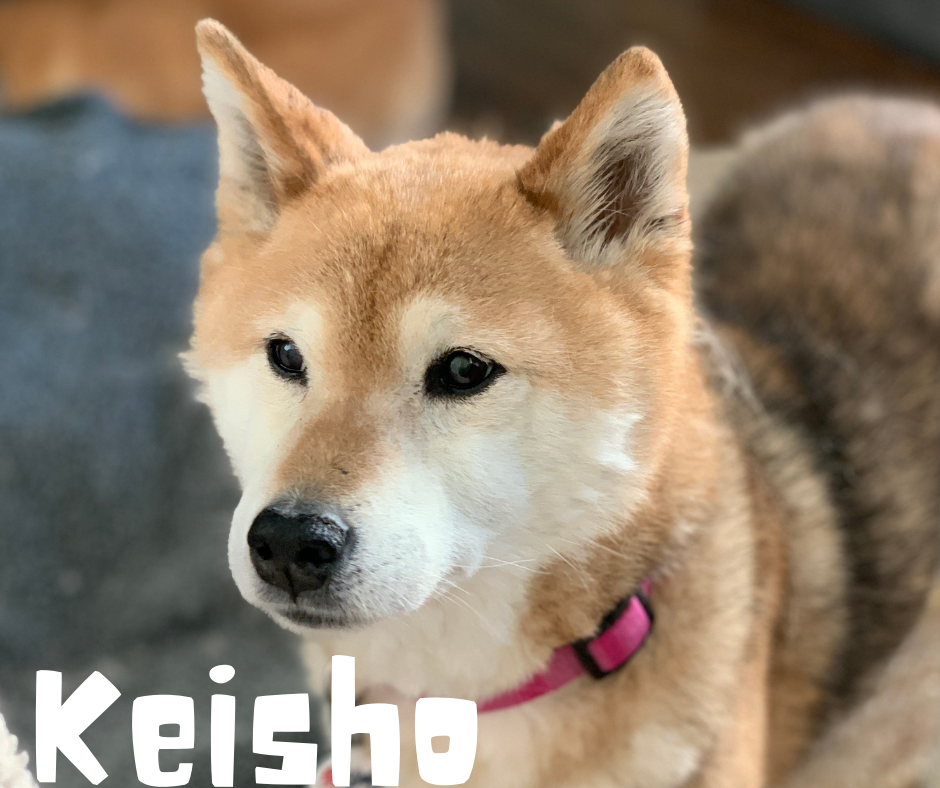 Keisho.png