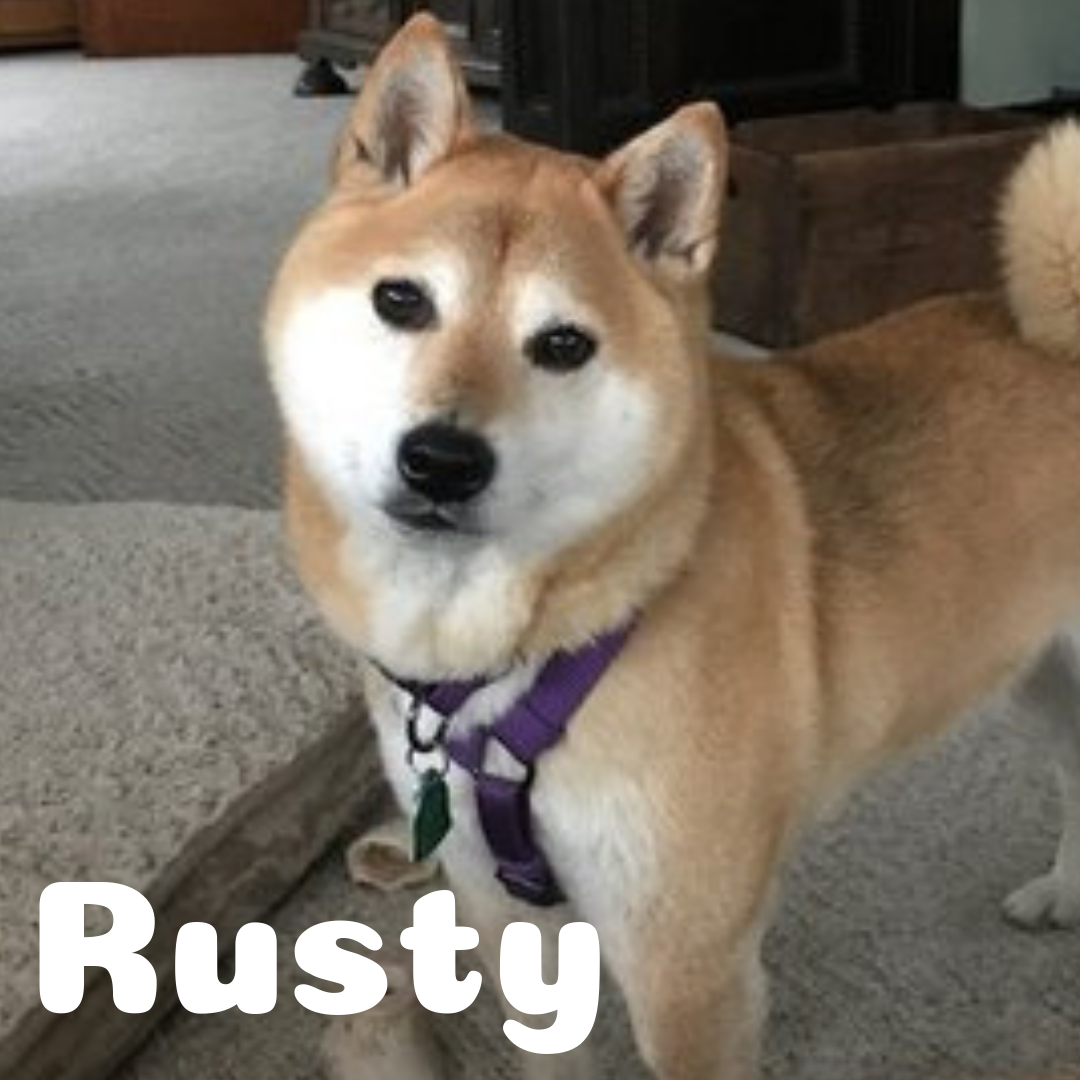 Rusty.png
