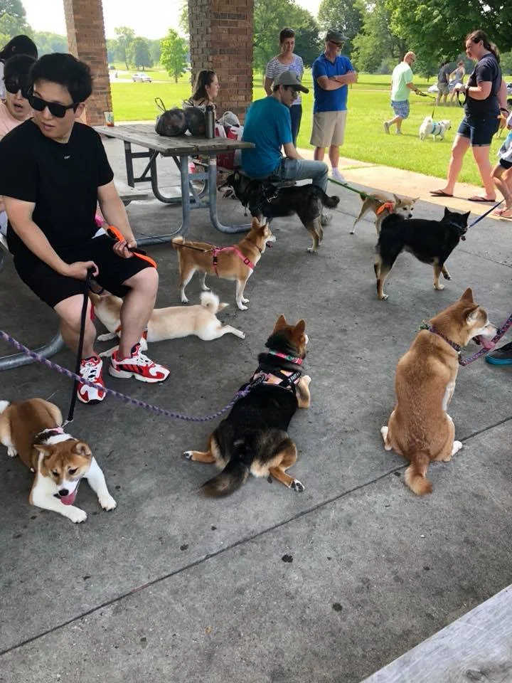 2018 picnic 3.jpg