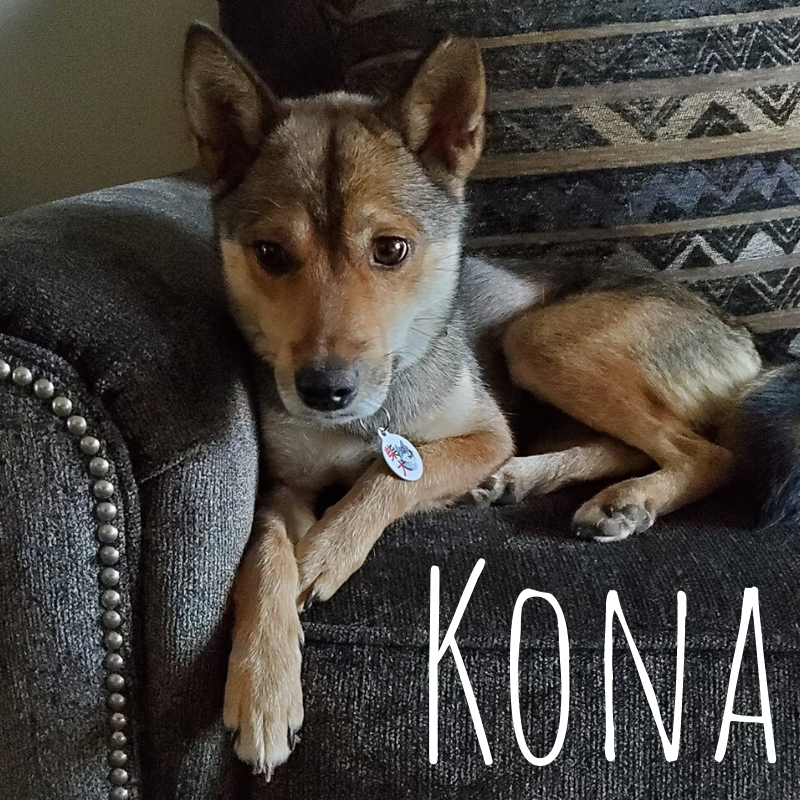 Kona.png