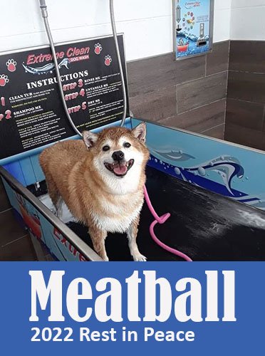 Meatball-mem_layers final.jpg