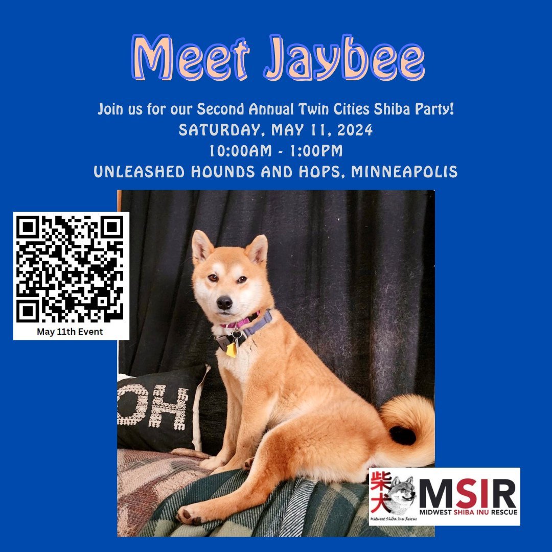 👀👀👀

LOOK AT THIS VERY DISTINQUISHED GENTELMAN!!! 

Come out to our event next Saturday, May 11th, to meet Foster Jaybee. Trust us, he's even cuter in person. 😍

Get tickets and learn more here: https://www.shibarescue.org/mspeventdetails