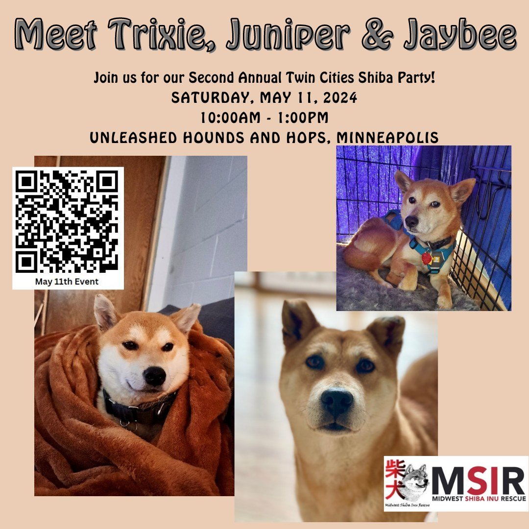 🐕🐕🐕🐕

Are you looking to adopt a Shiba? Come check out our Minneapolis area fosters that are/will be available for adoption. Adoptable dogs, Juniper, Trixie and Jaybee, will all be making an appearance at Unleased Hounds and Hops on May 11th. 🎉
