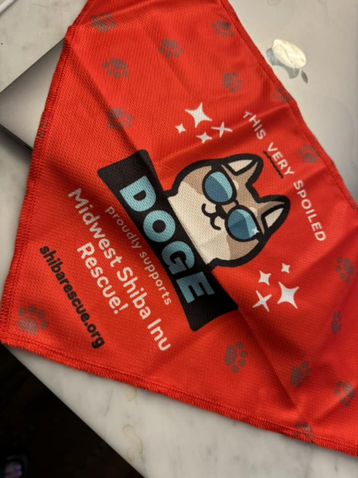 🚨🚨LAST CALL FOR A FREE BANDANA🚨🚨

Get tickets TODAY to score a free bandana!! Adoptable Trixie, Juniper and Jaybee can't wait to meet you tomorrow! 🎉

Get tickets and learn more here: https://www.shibarescue.org/mspeventdetails