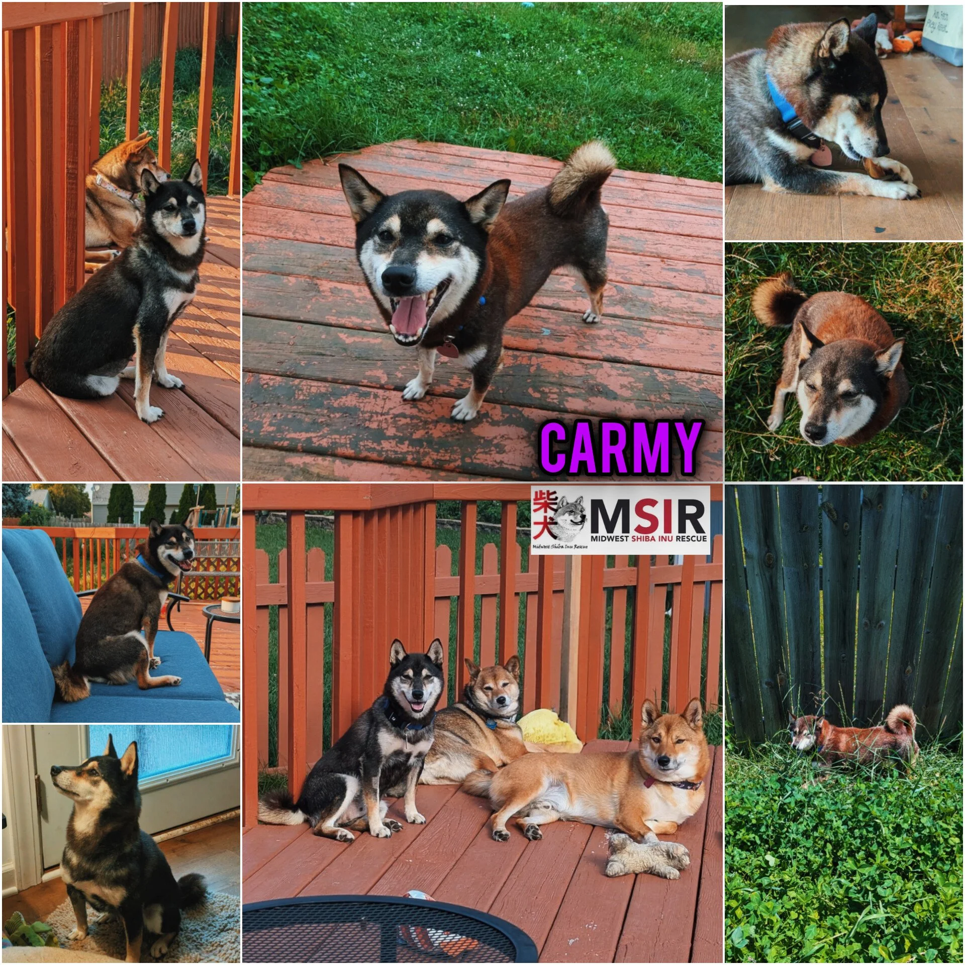 Carmy