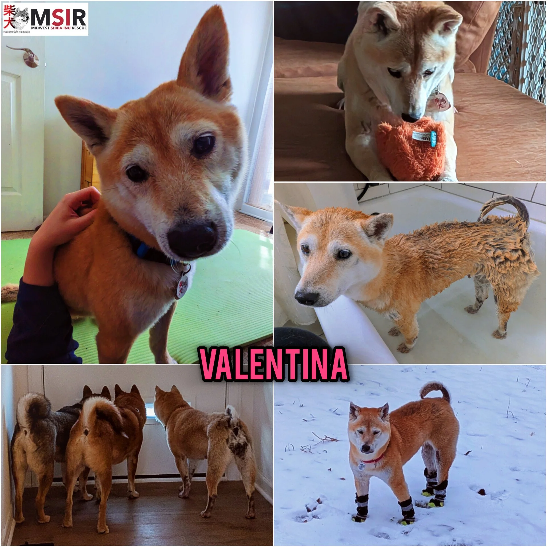 Valentina
