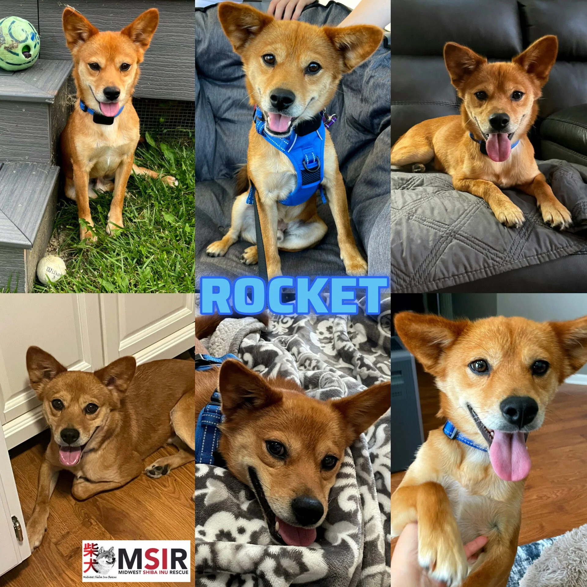 Rocket
