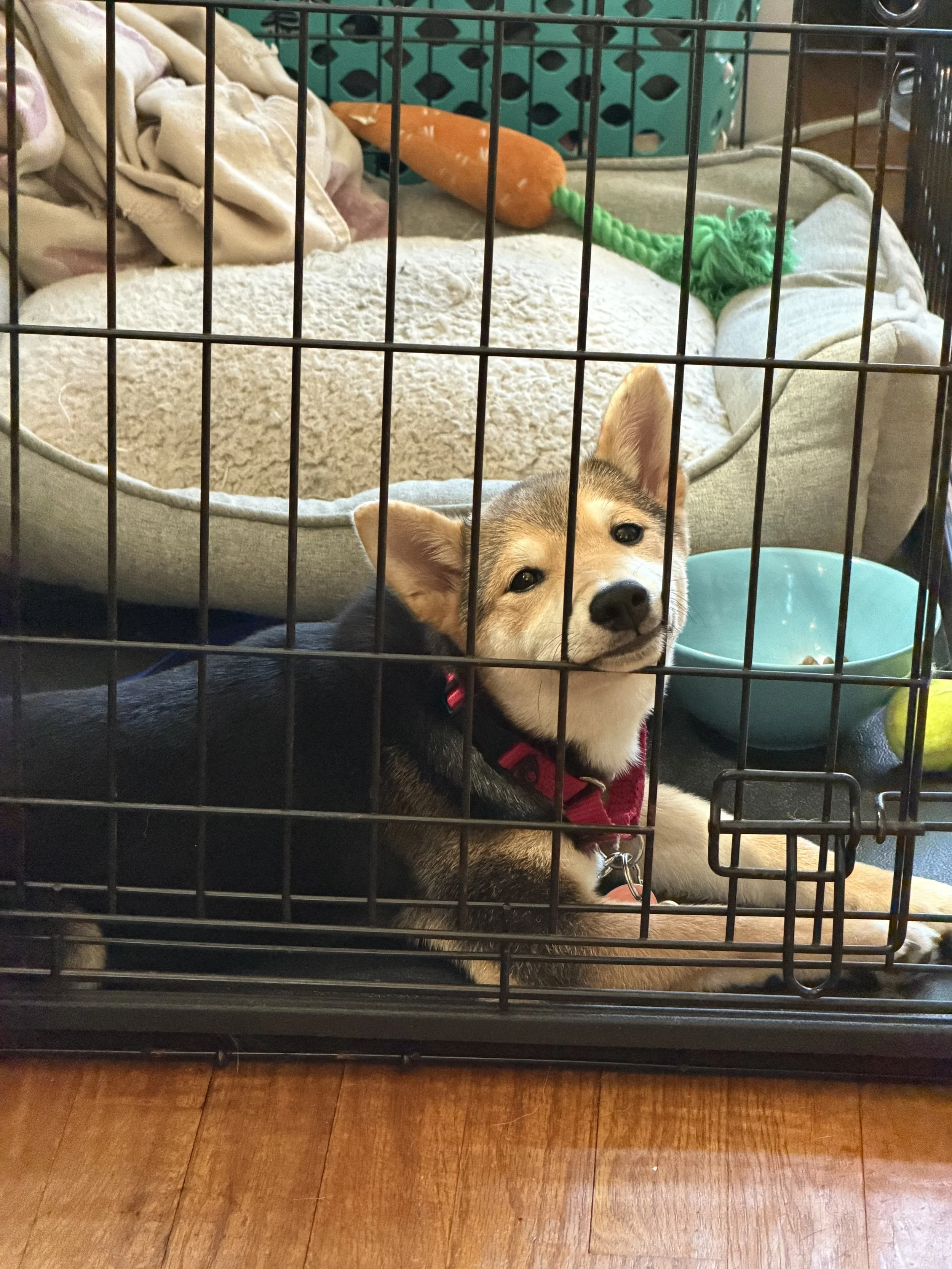 Maggie Mae