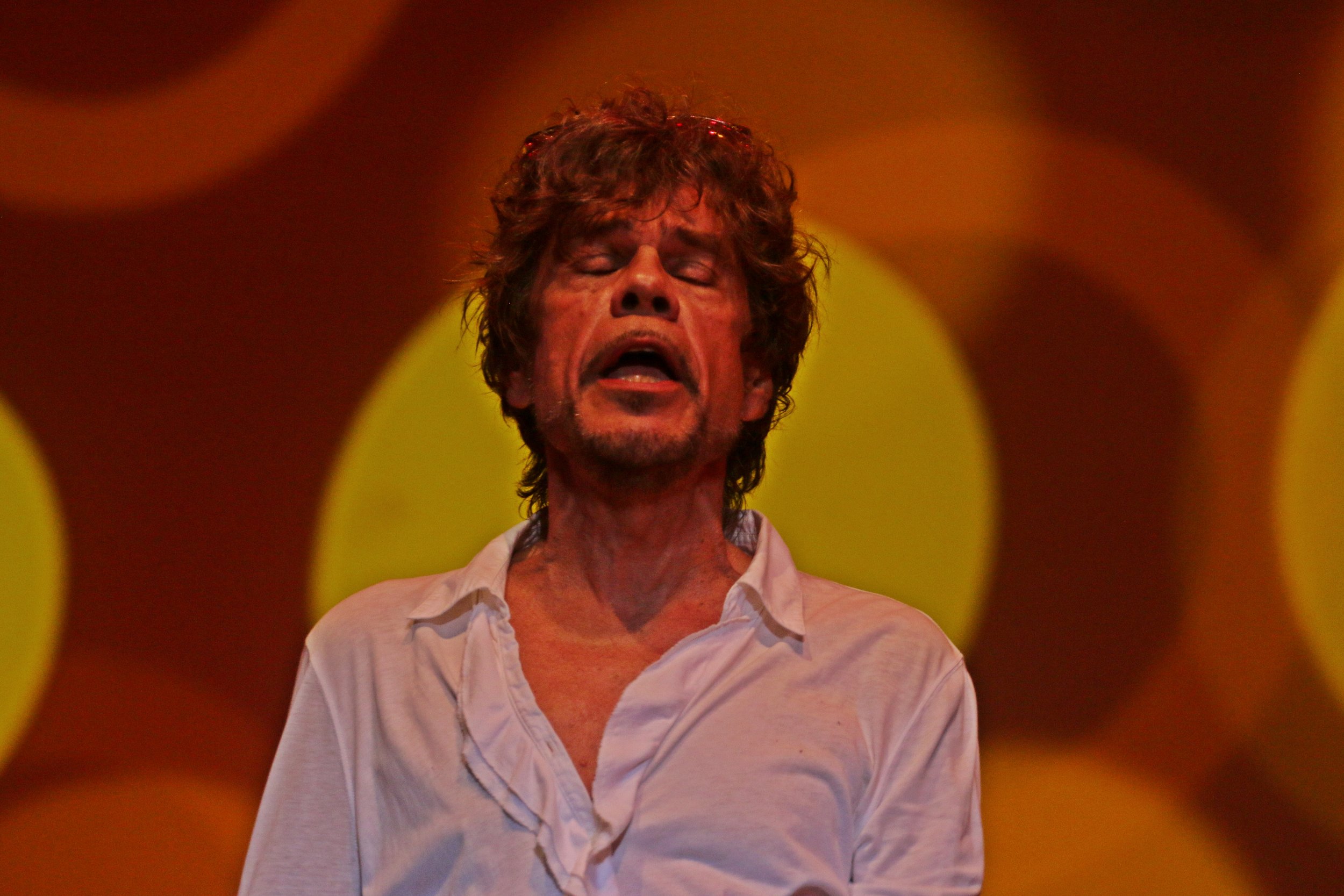 David Johansen - 2016