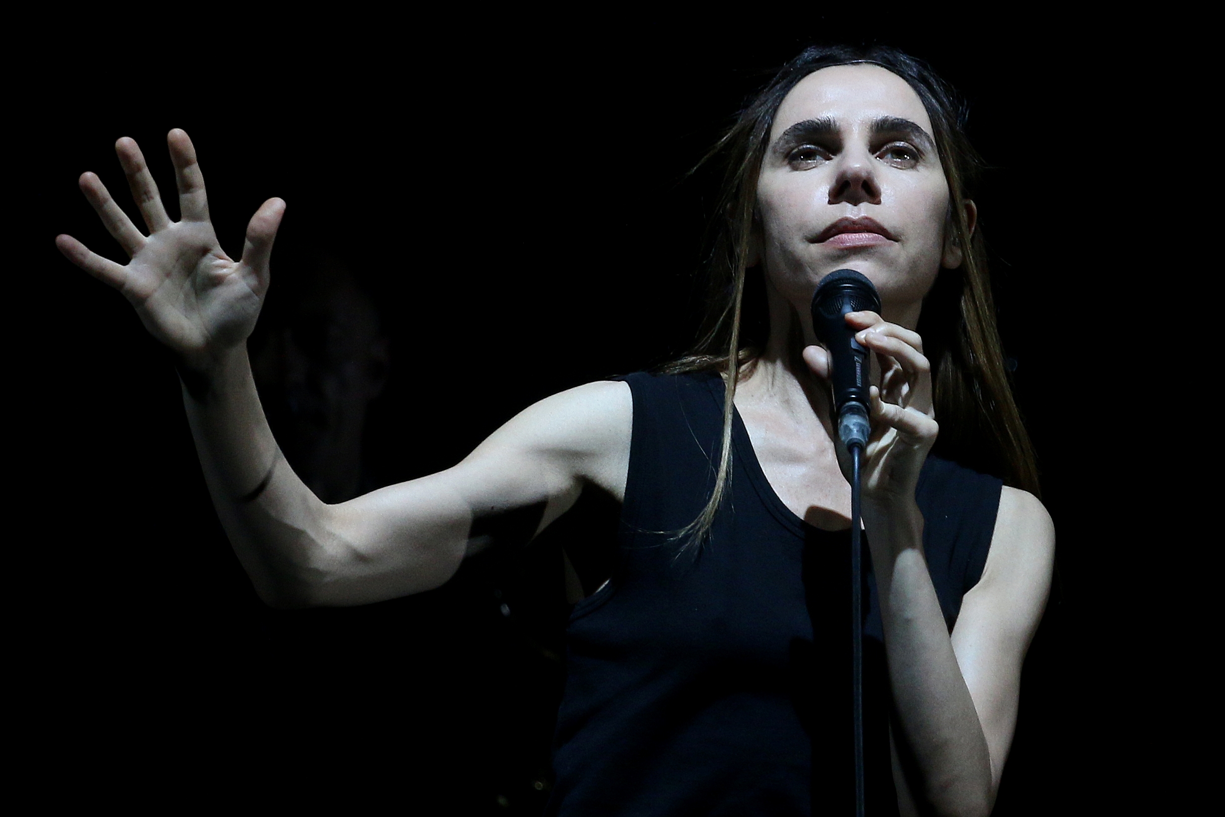 PJ Harvey - 2017