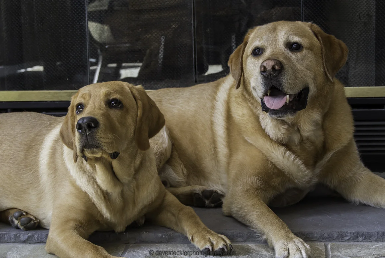 Tucker&Kona391.jpg