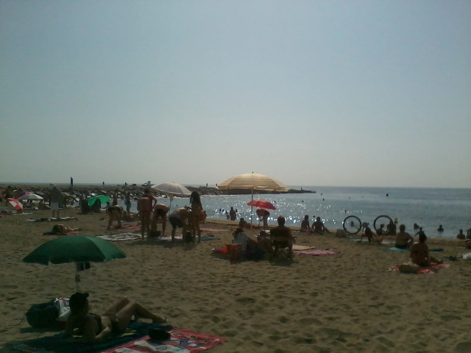 2012-08-24 10.54.31.jpg