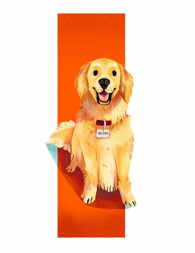 Pawtrait_-_Dexter_2_CC_web.png