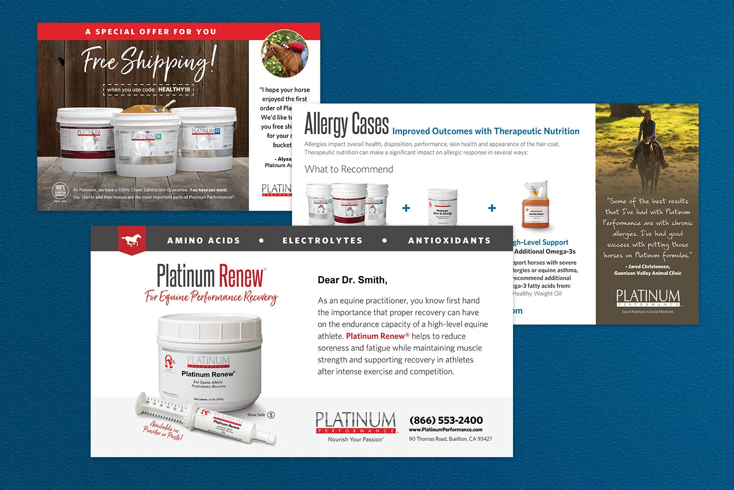 Dynamic, on-demand postcards to veterinarians and clients