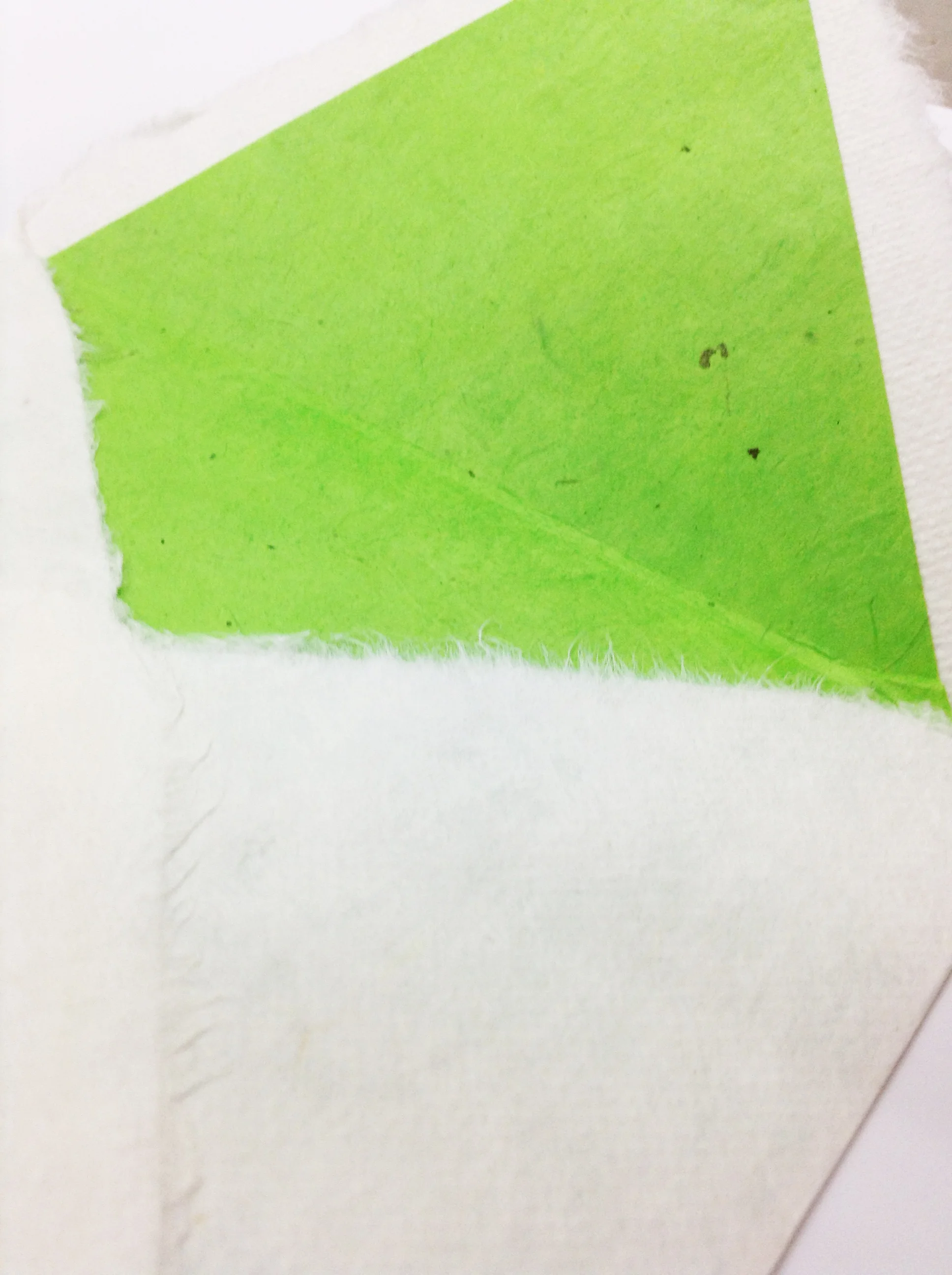 ENVELOPE LINER.jpg