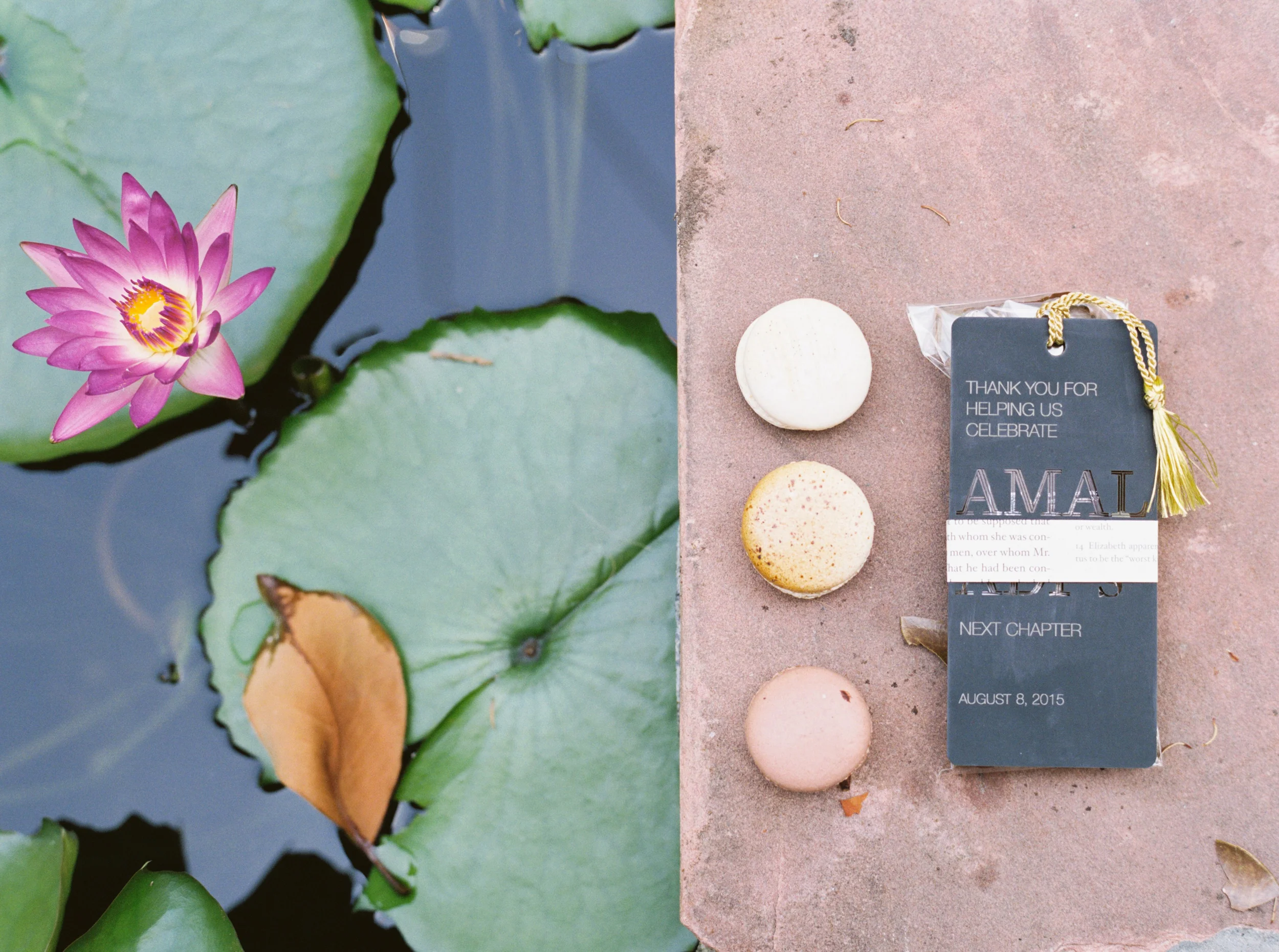   Courtney Leigh Photography  