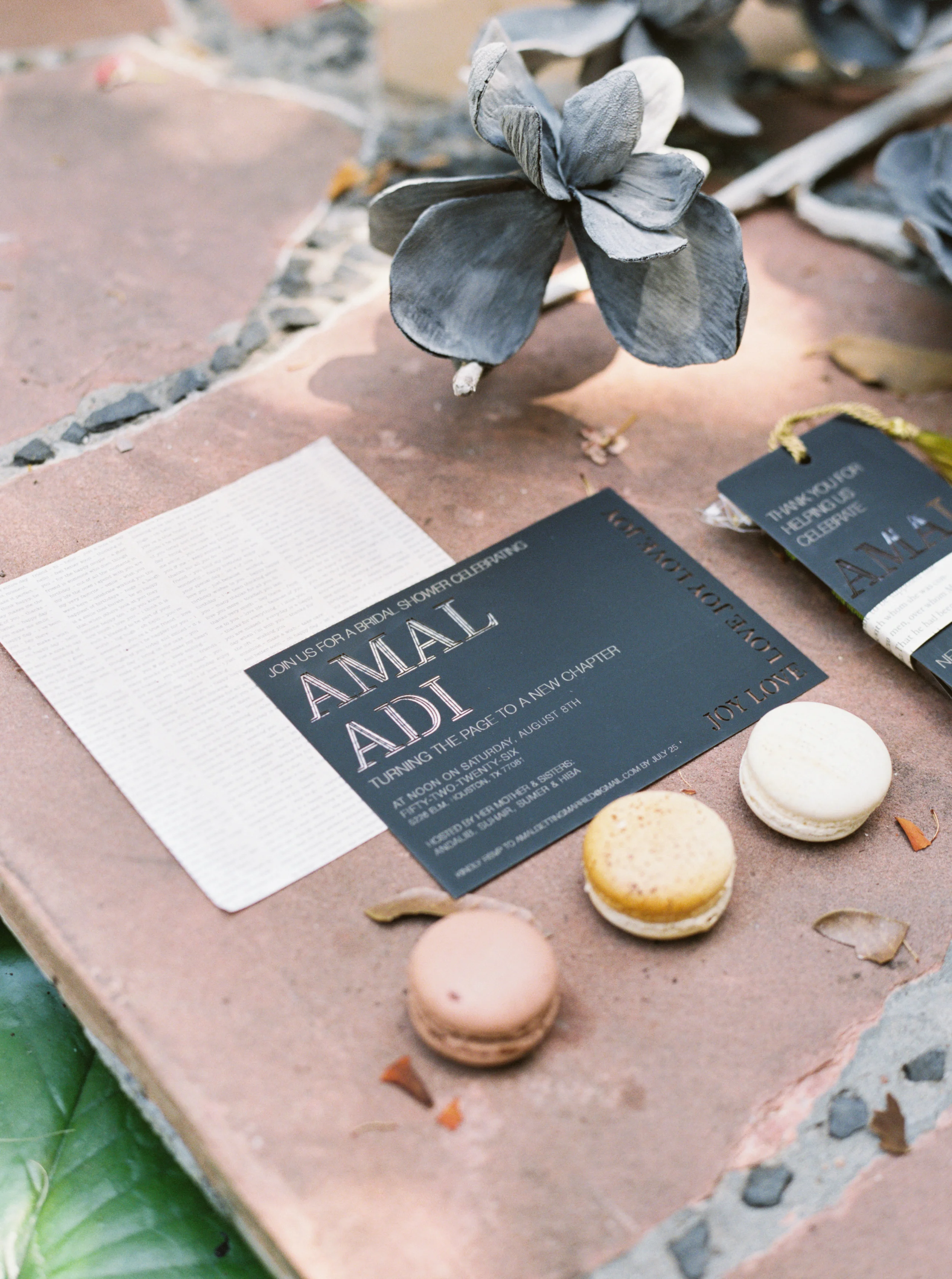   Courtney Leigh Photography  