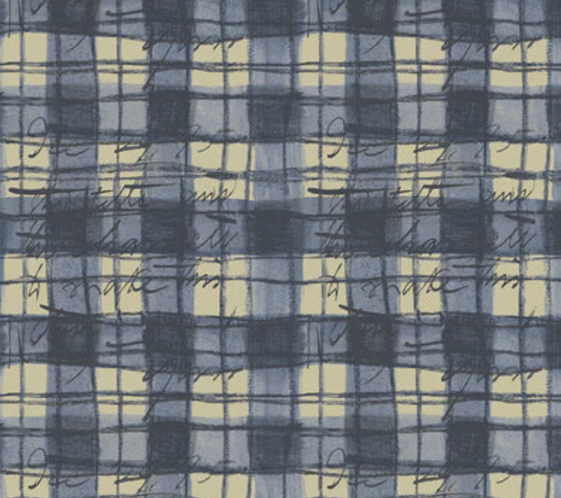 FLANNEL: moonlight picnic 12