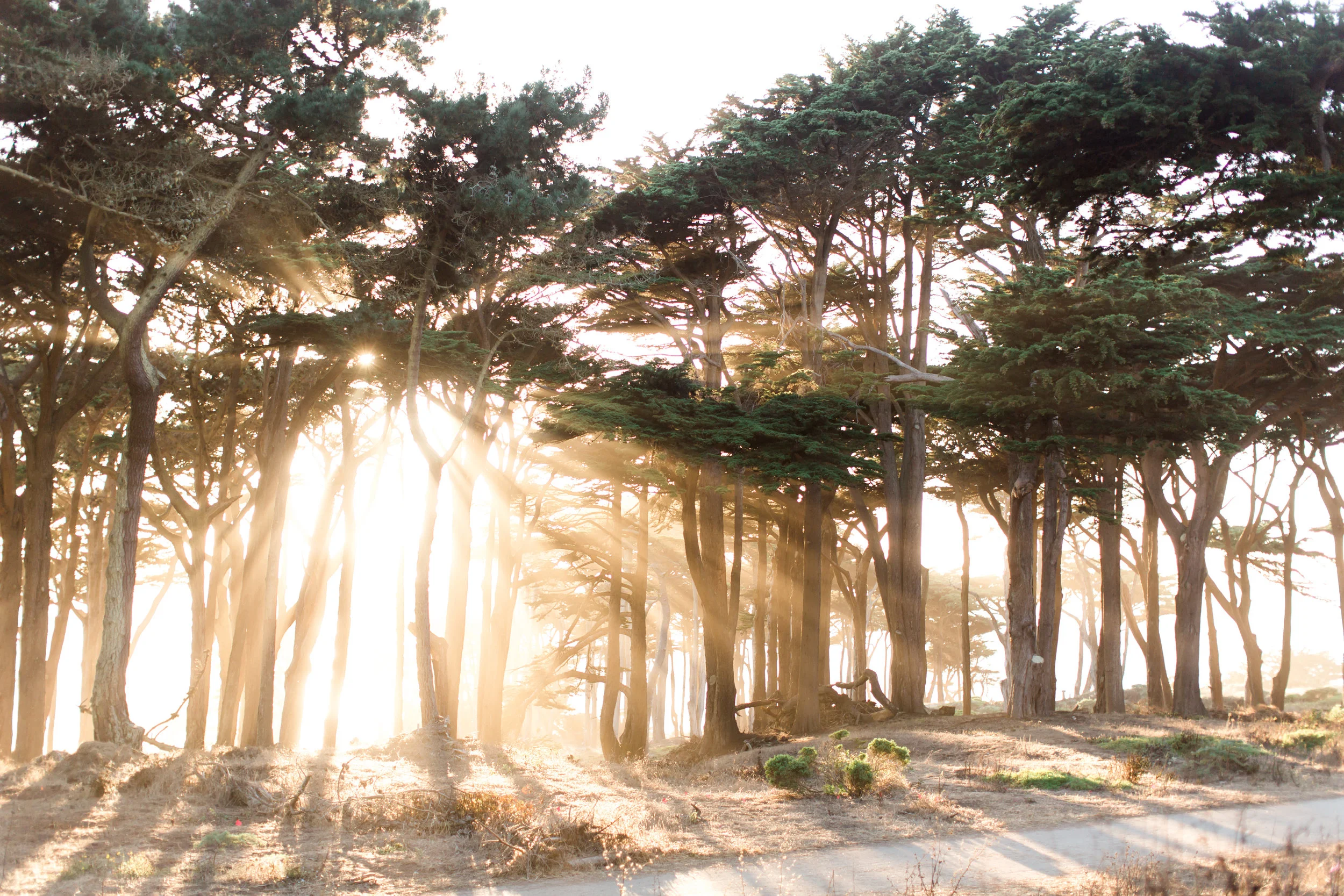 sutro-baths-san-francisco-engagement-0219.jpg