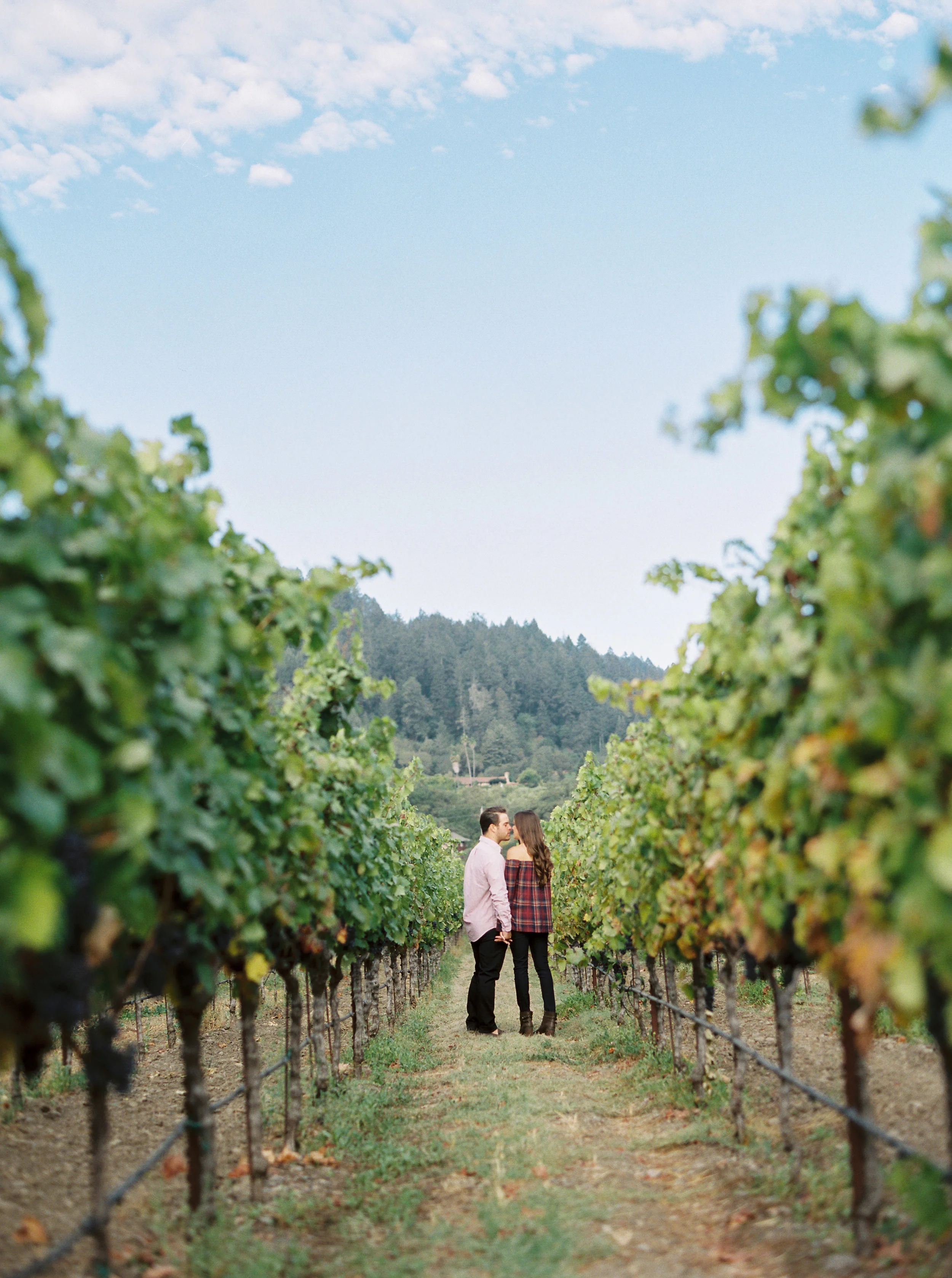 Napa-engagement-photography-32.jpg