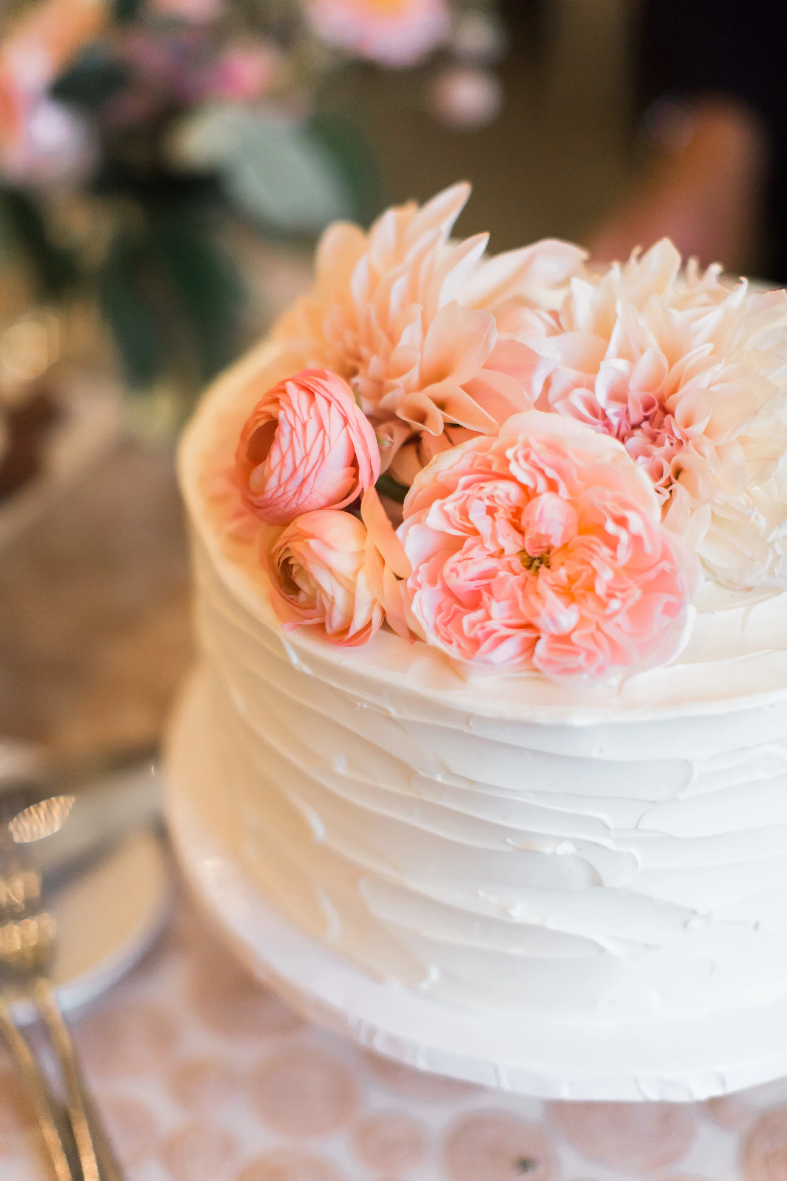 romantic-aracely-cafe-wedding-treasure-island-108.jpg