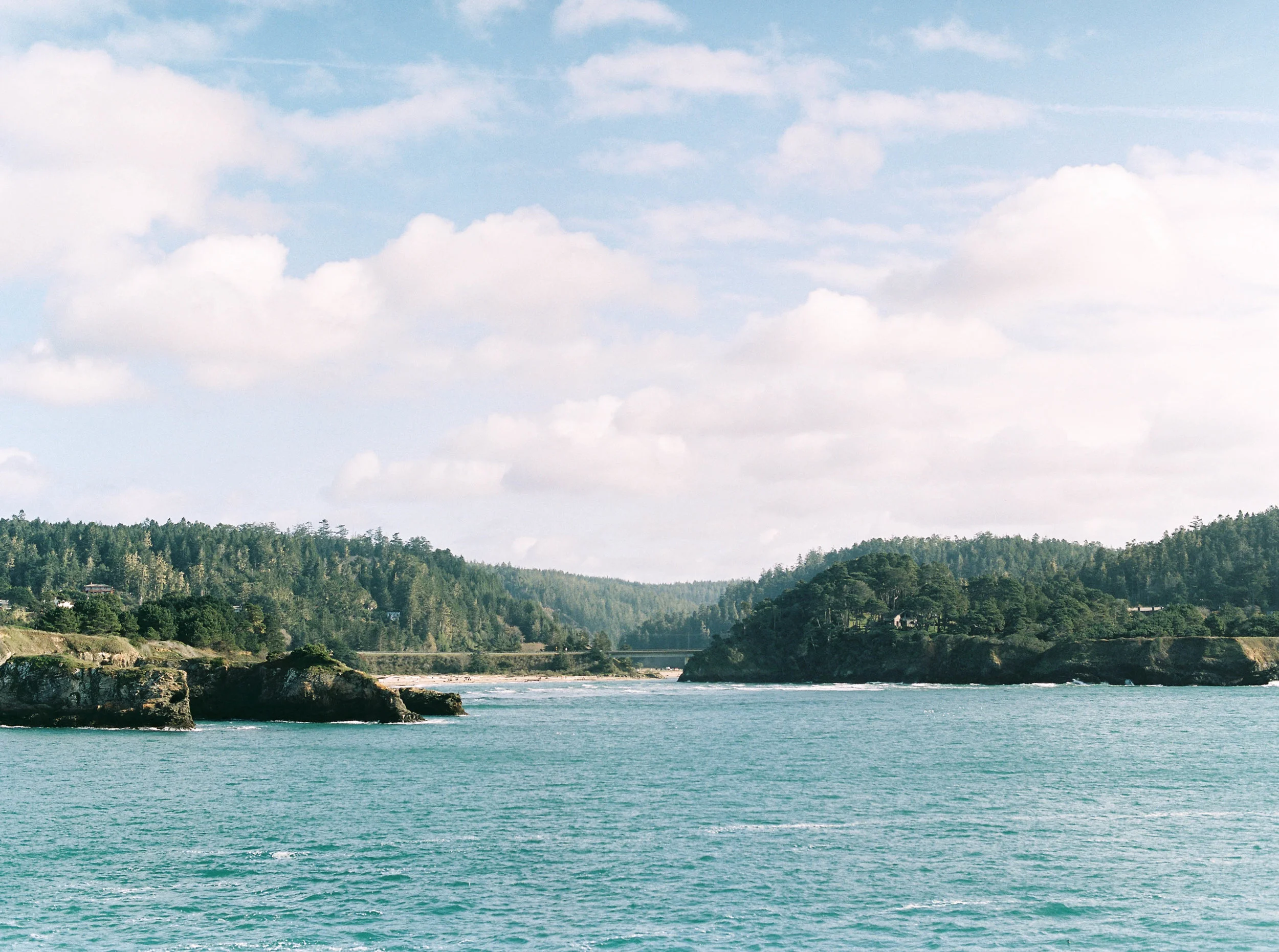 mendocino-wedding-photographer-19.jpg