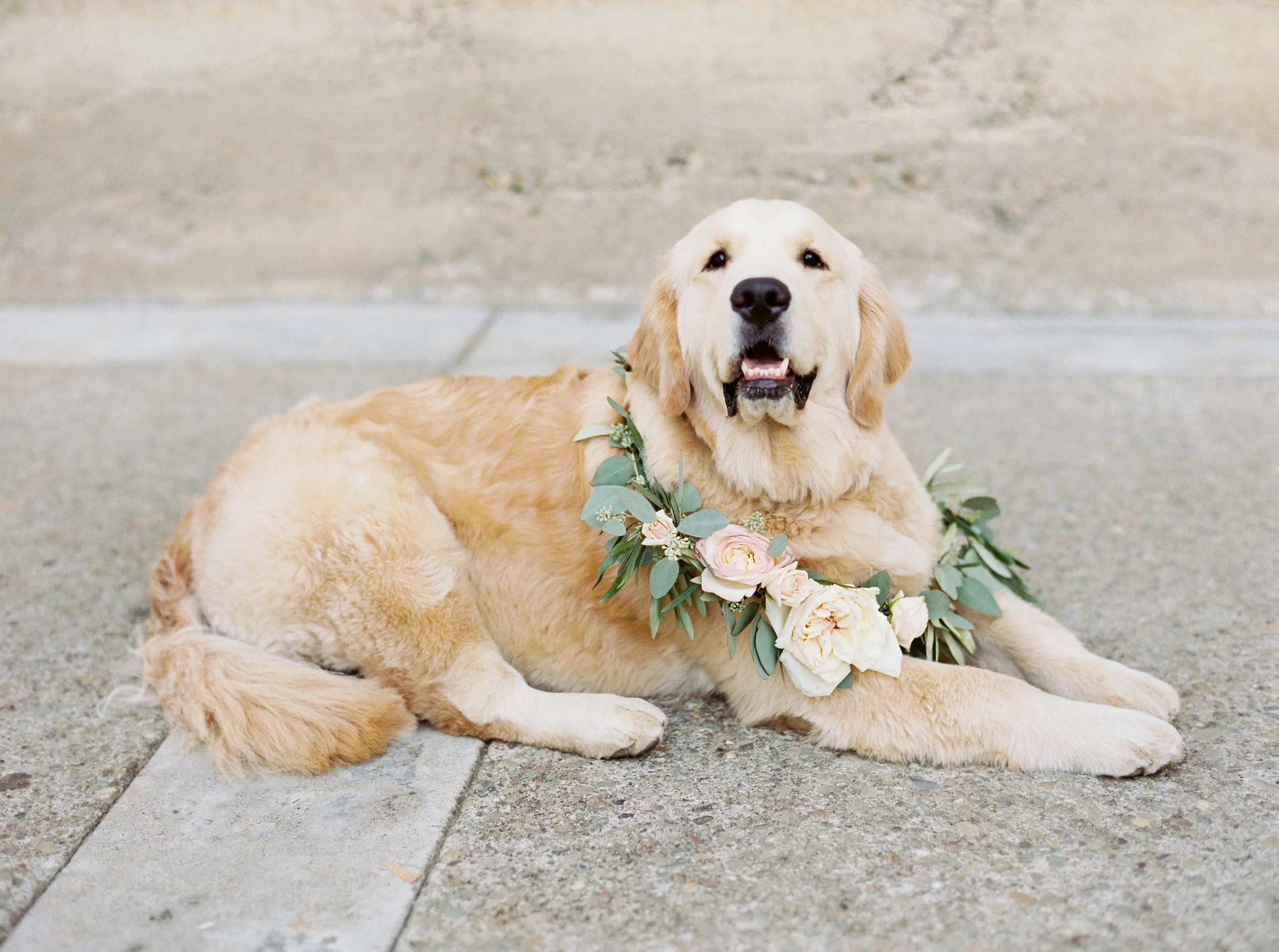 muriettas-well-wedding-in-livermore-california-145.jpg