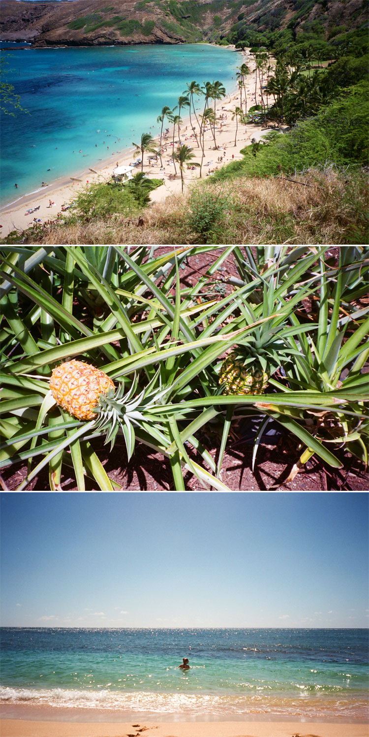 Oahu-1.jpg