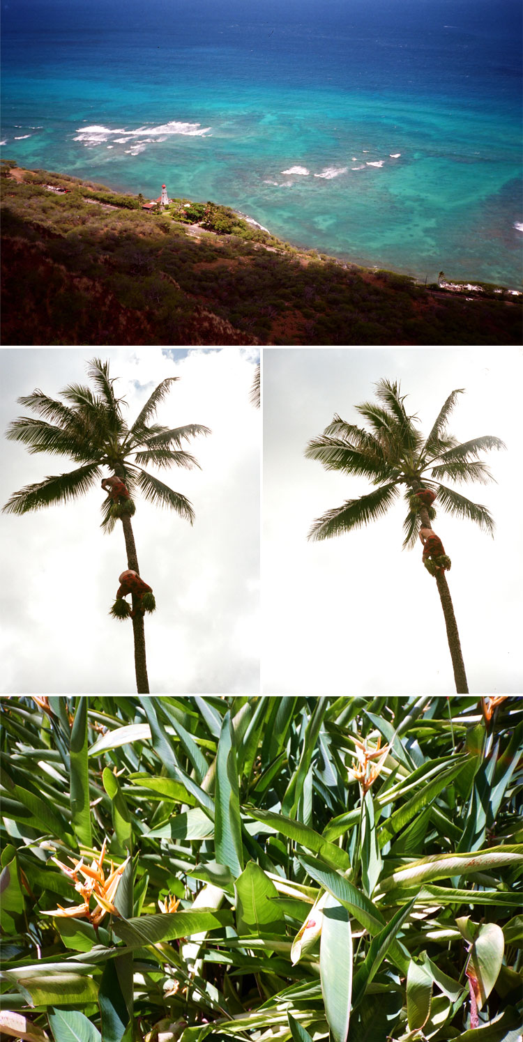 Oahu-5.jpg