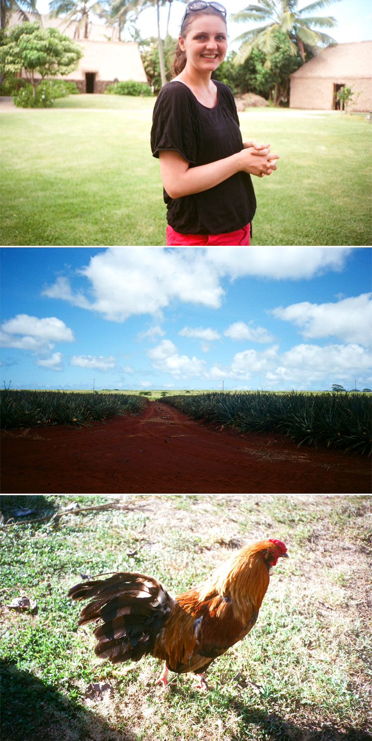 Oahu-6.jpg