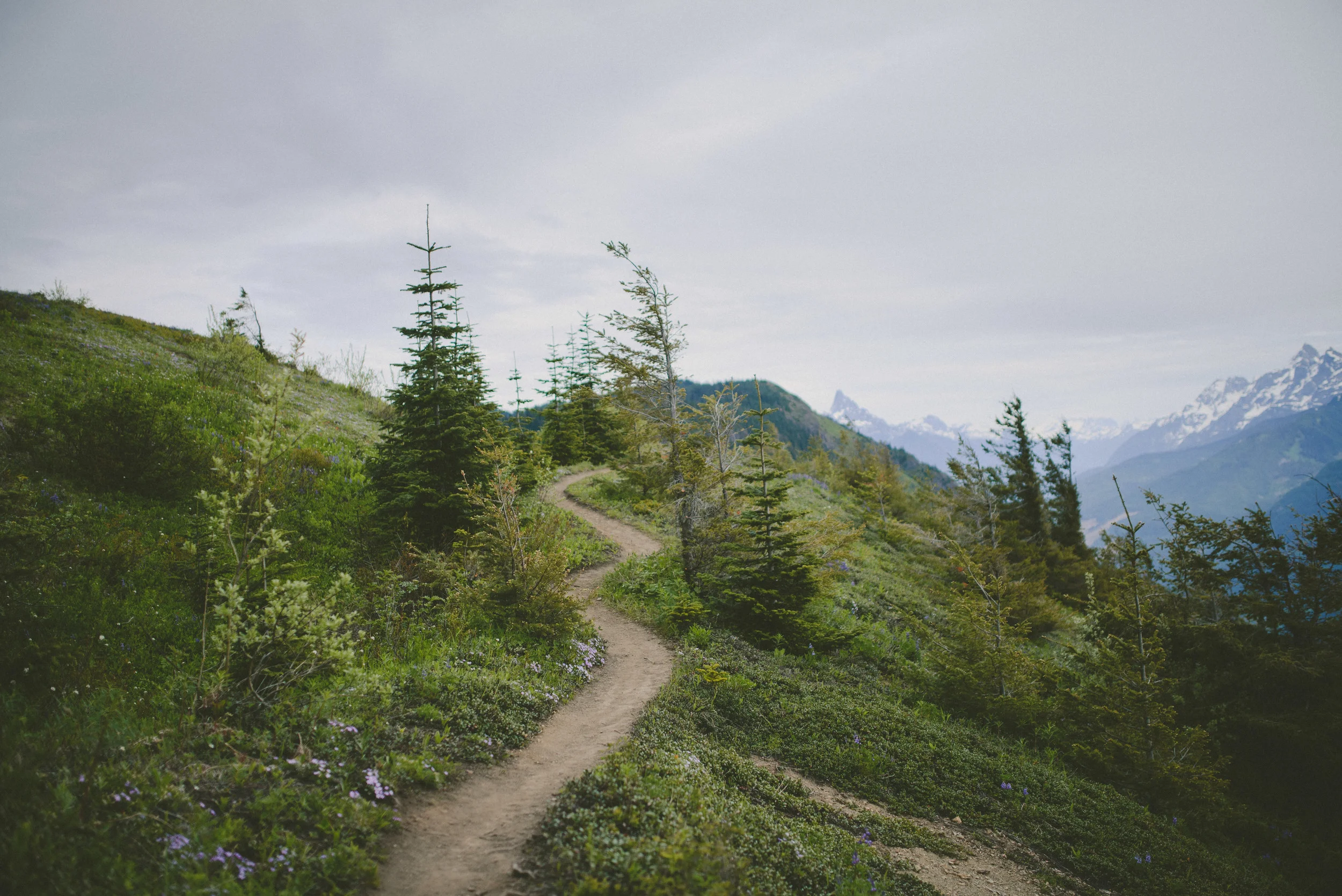 ElkMountain-38.jpg