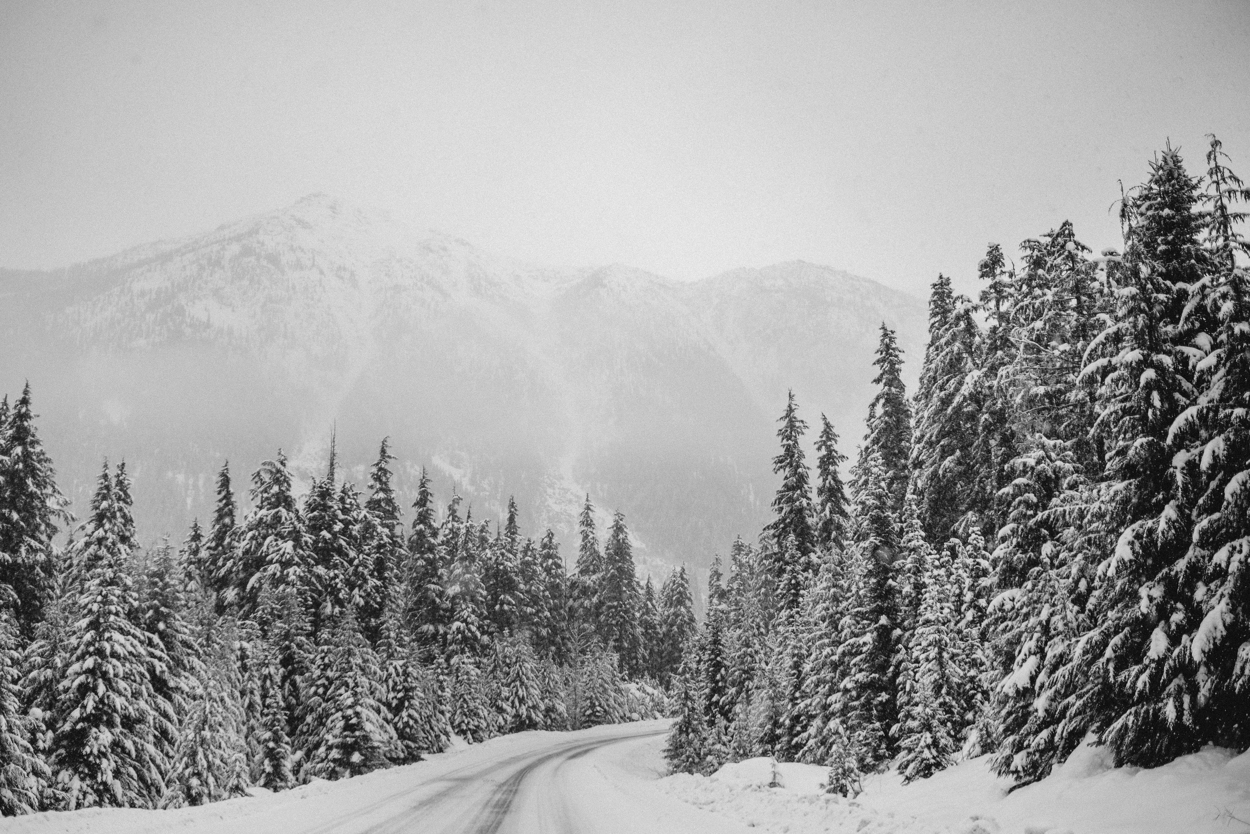 JoffreLakes-Jan2016-15 copy.jpg