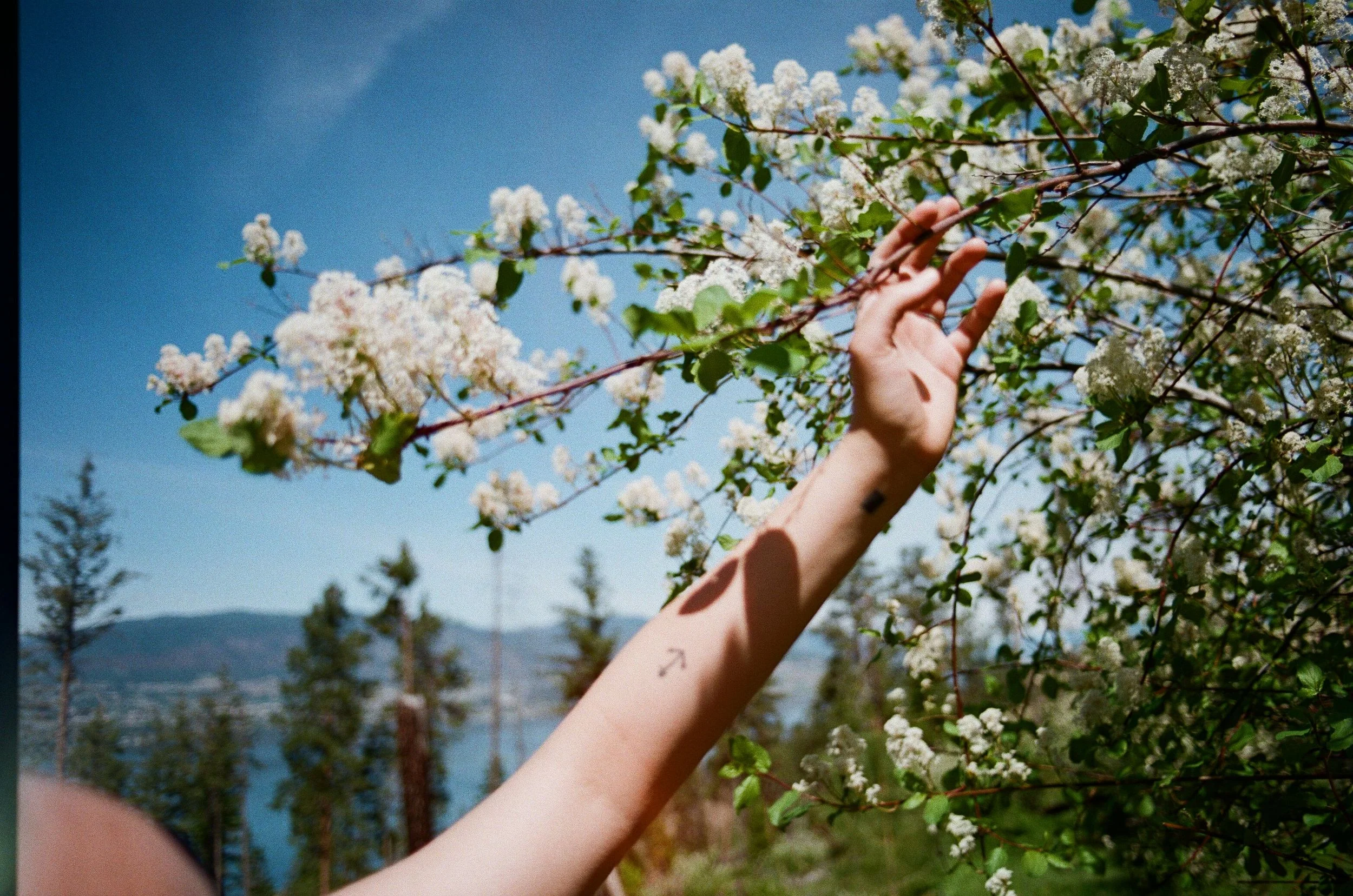 0011_15.jpg