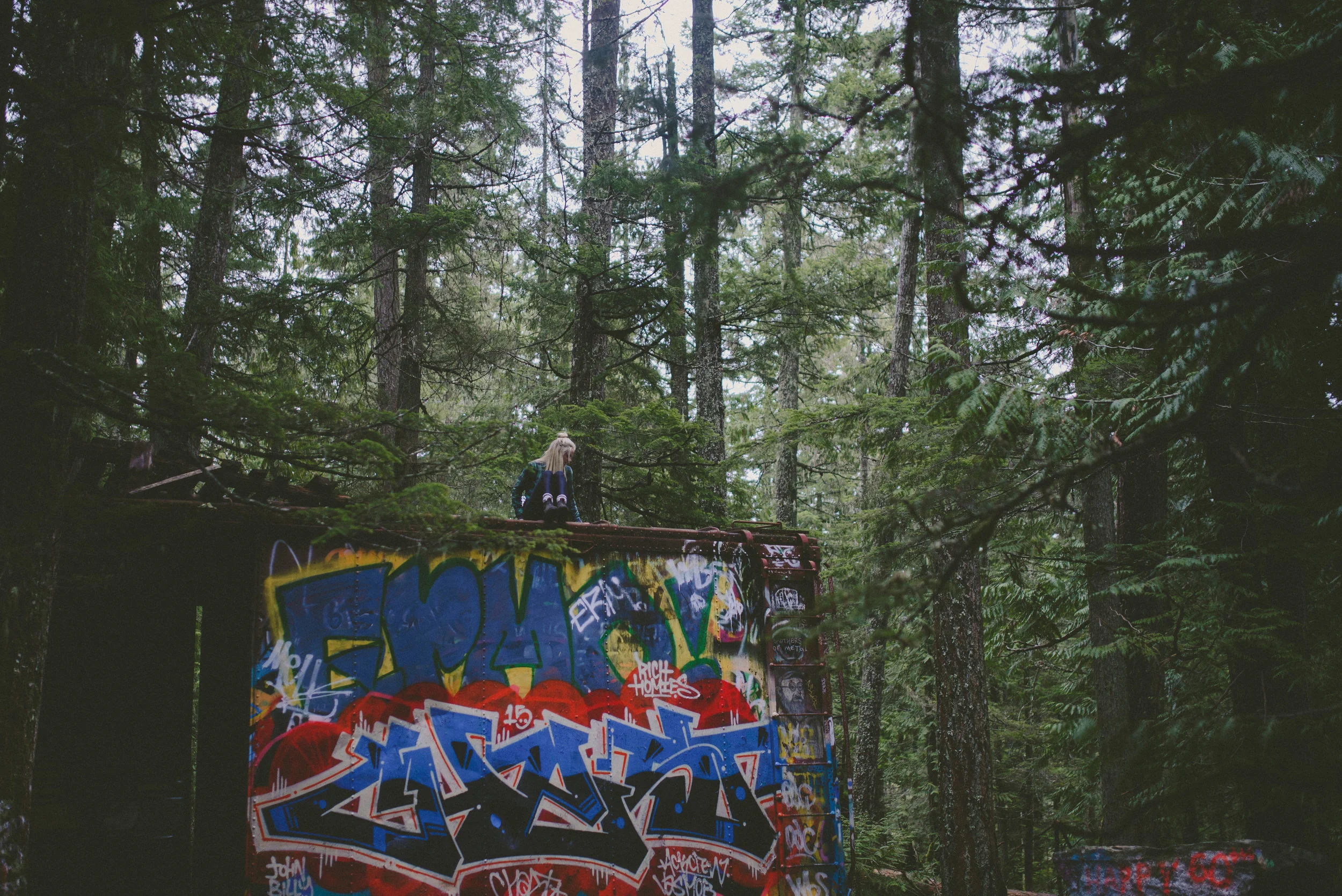 Whistler Train Wreck