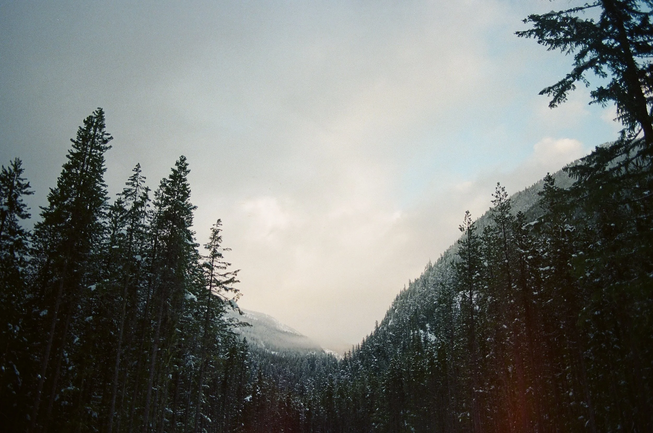 ChilliwackLake-4.jpeg