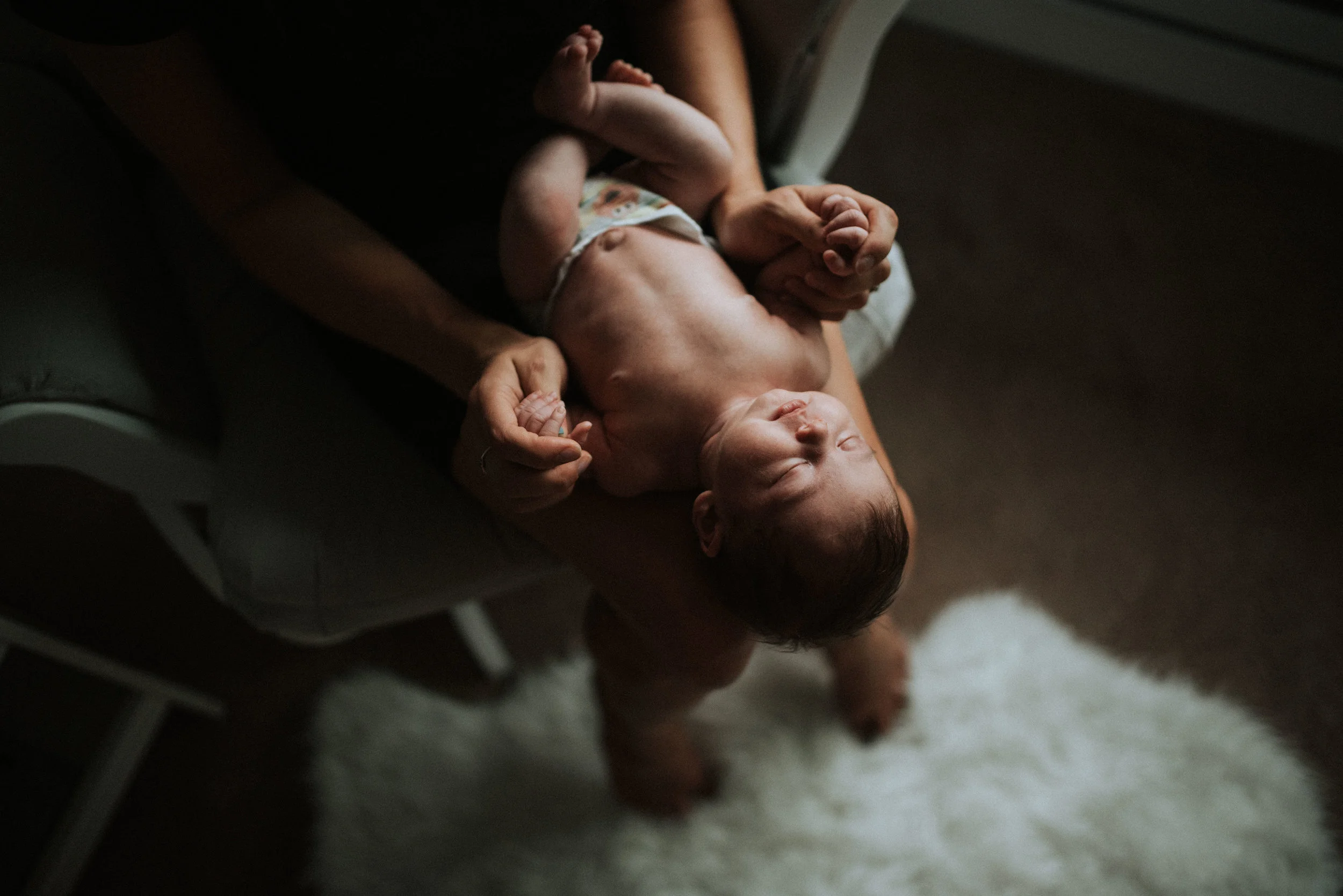 Elleana Newborn Portraits